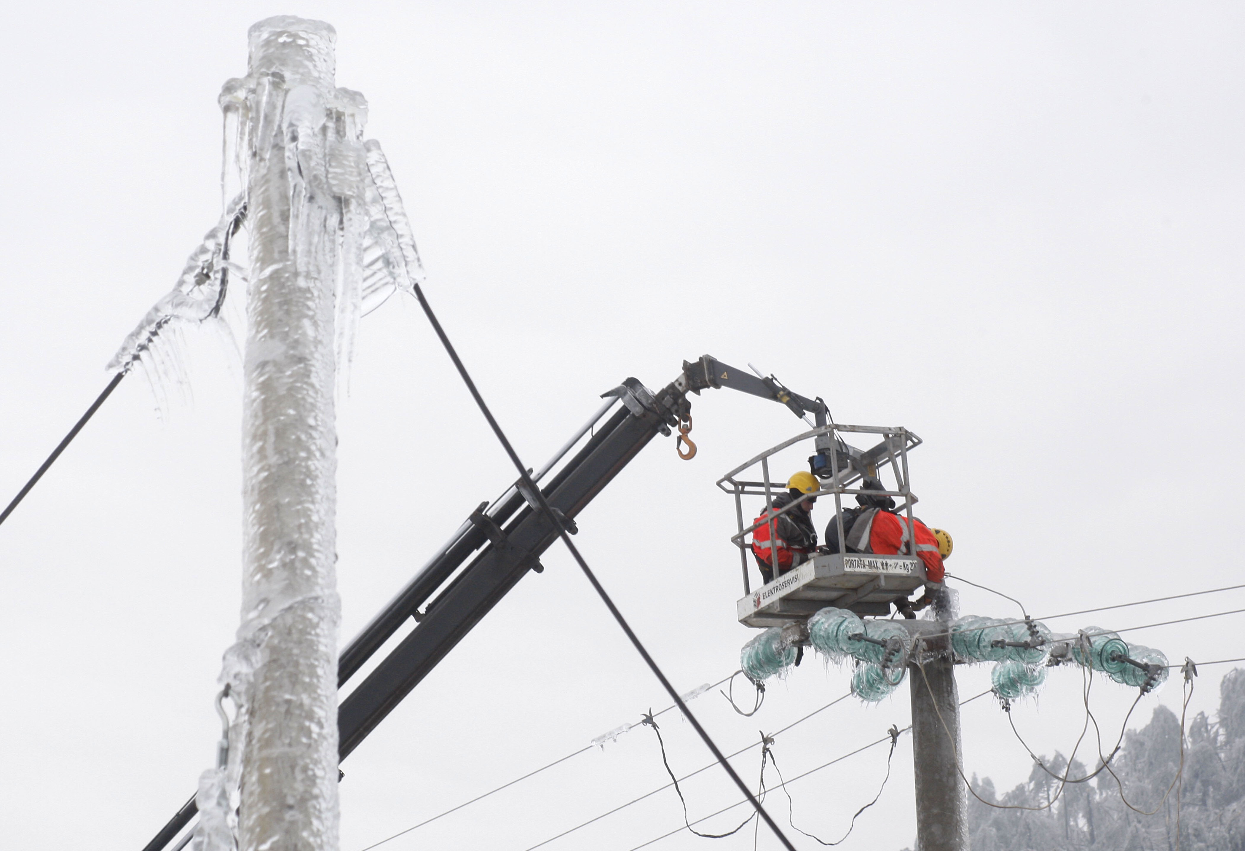 Foto: Srdjan Zivulovic/Bobo
