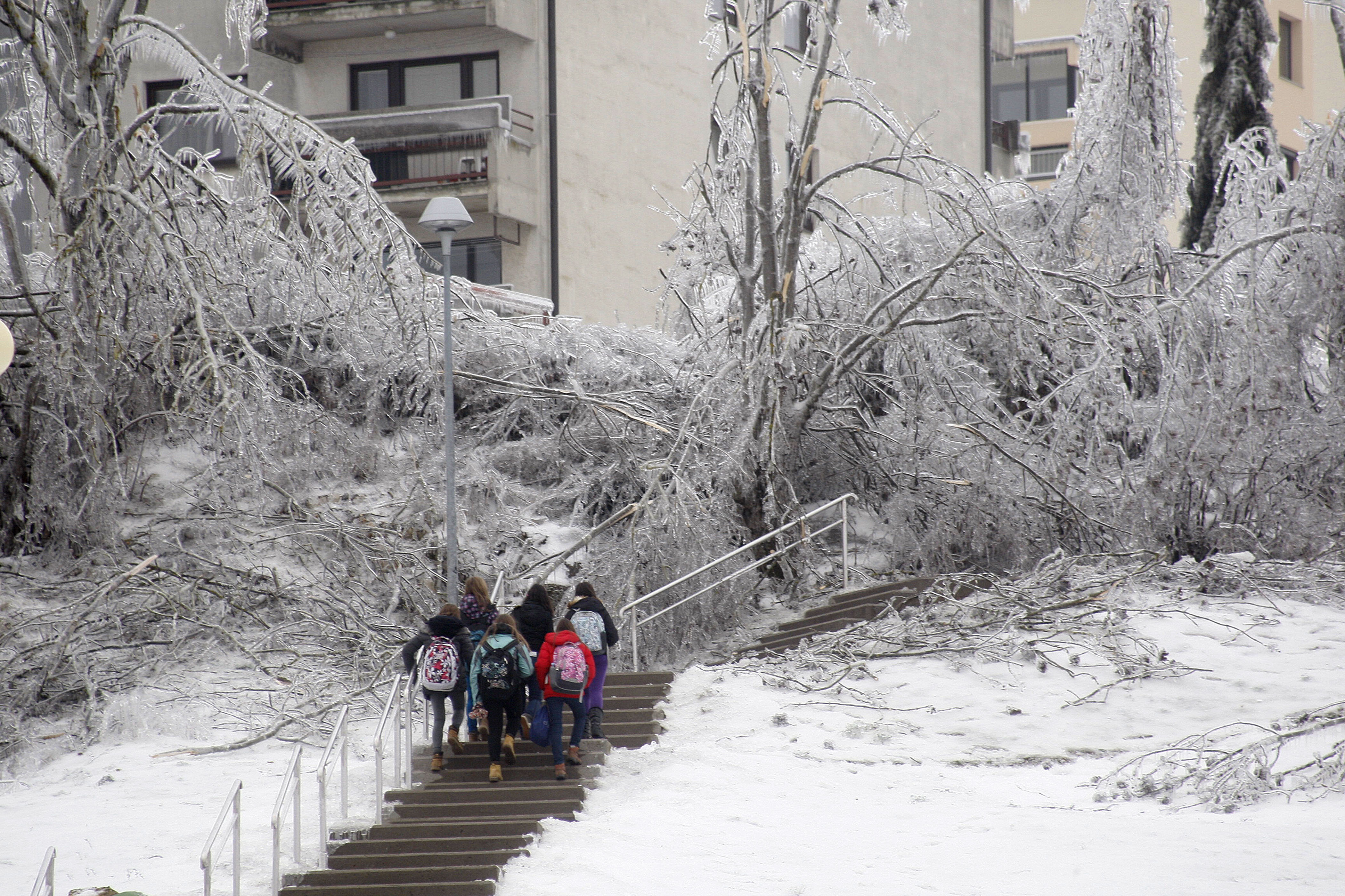 Foto: Srdjan Zivulovic/Bobo