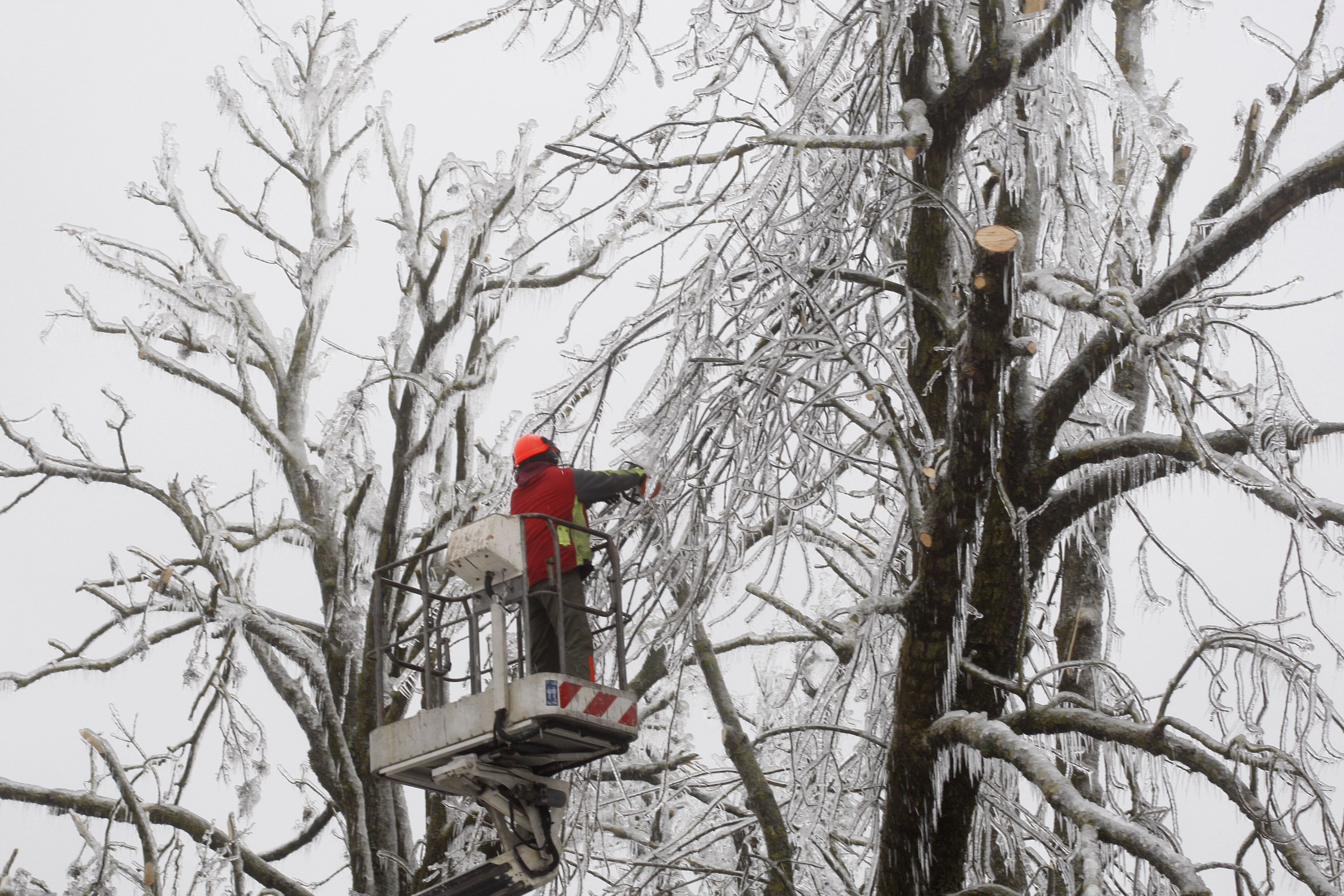 Foto: Srdjan Zivulovic/Bobo