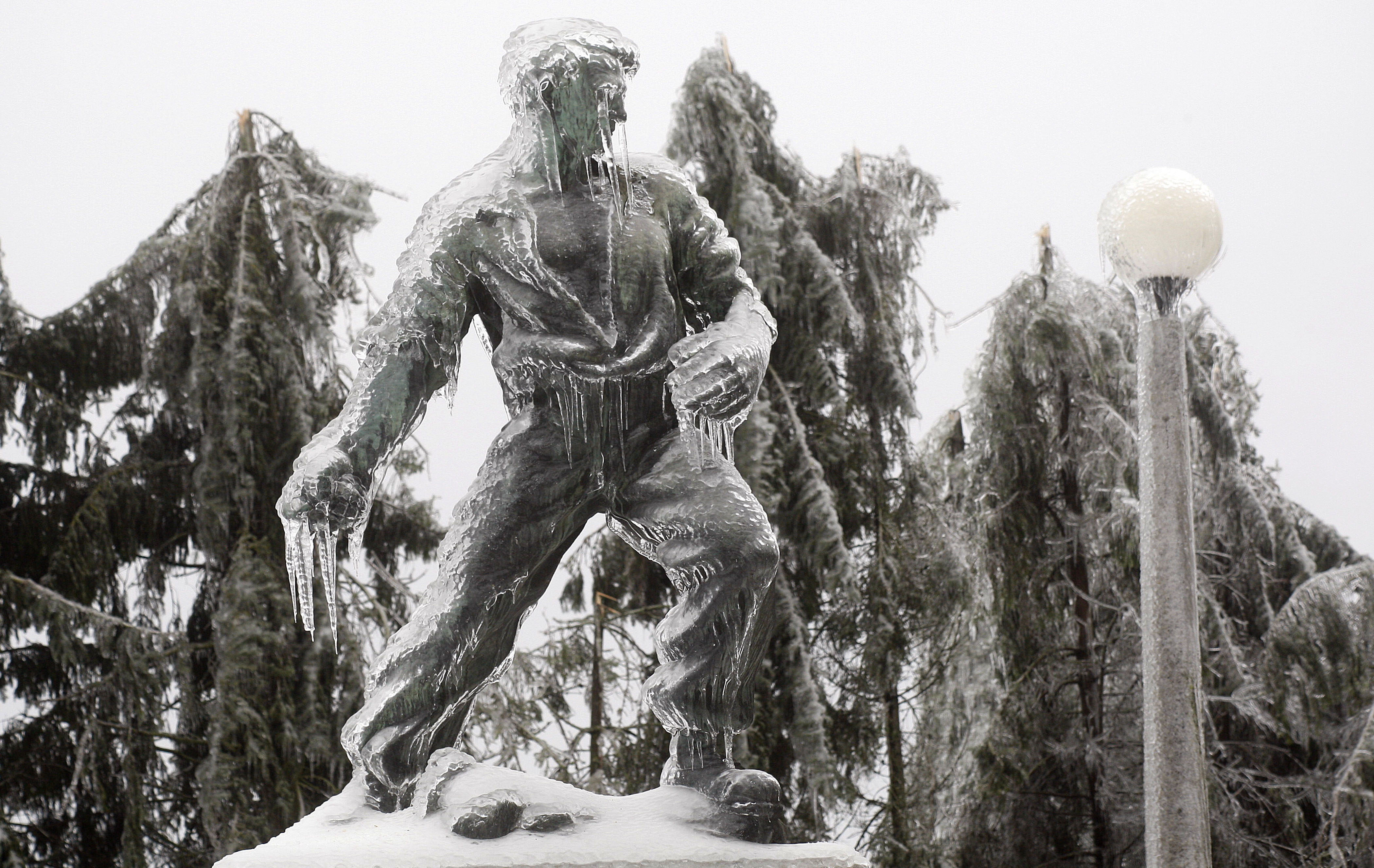 Foto: Srdjan Zivulovic/Bobo