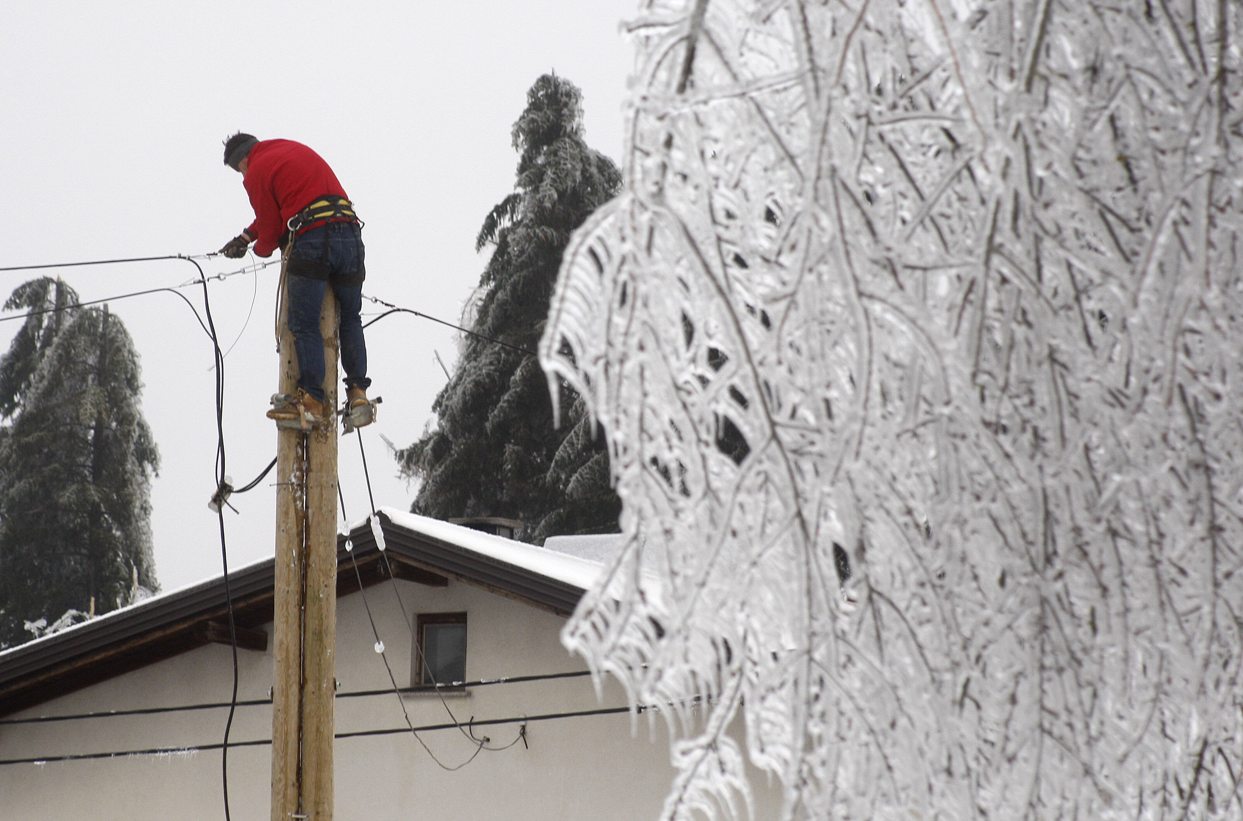 Foto: Srdjan Zivulovic/Bobo