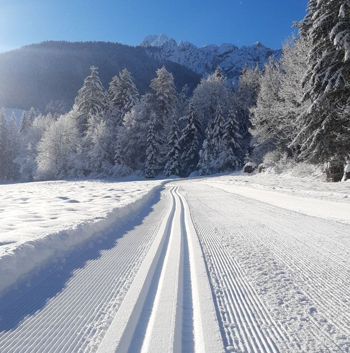 tek na smučeh, rateče, zima
