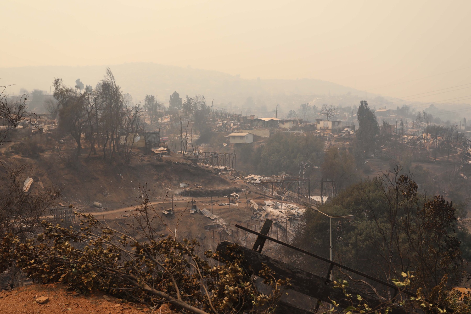 Katastrofalni gozdni požari v Čilu