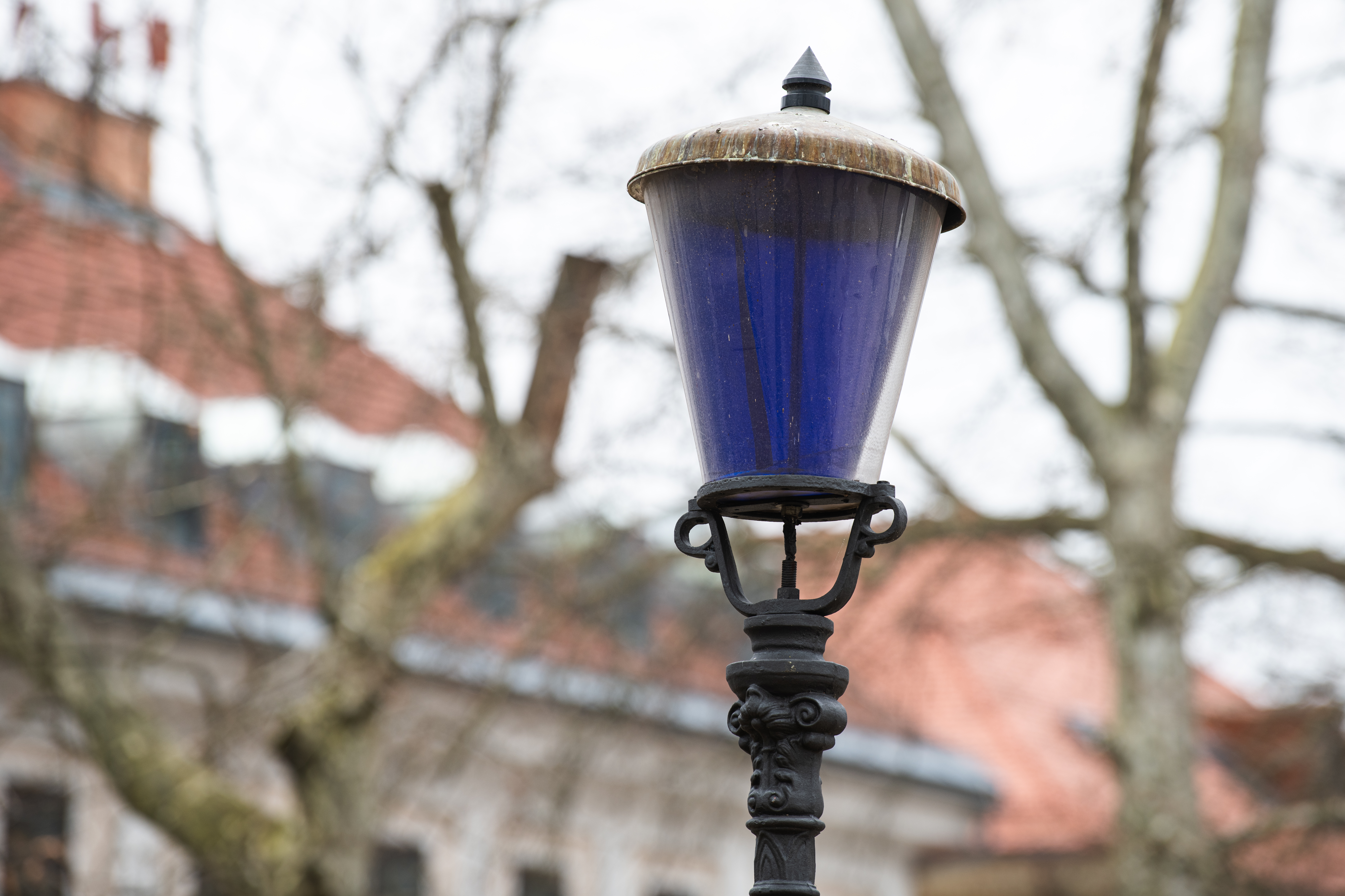 kongresni trg, park zvezda, modre luči, modra luč, ljubljana