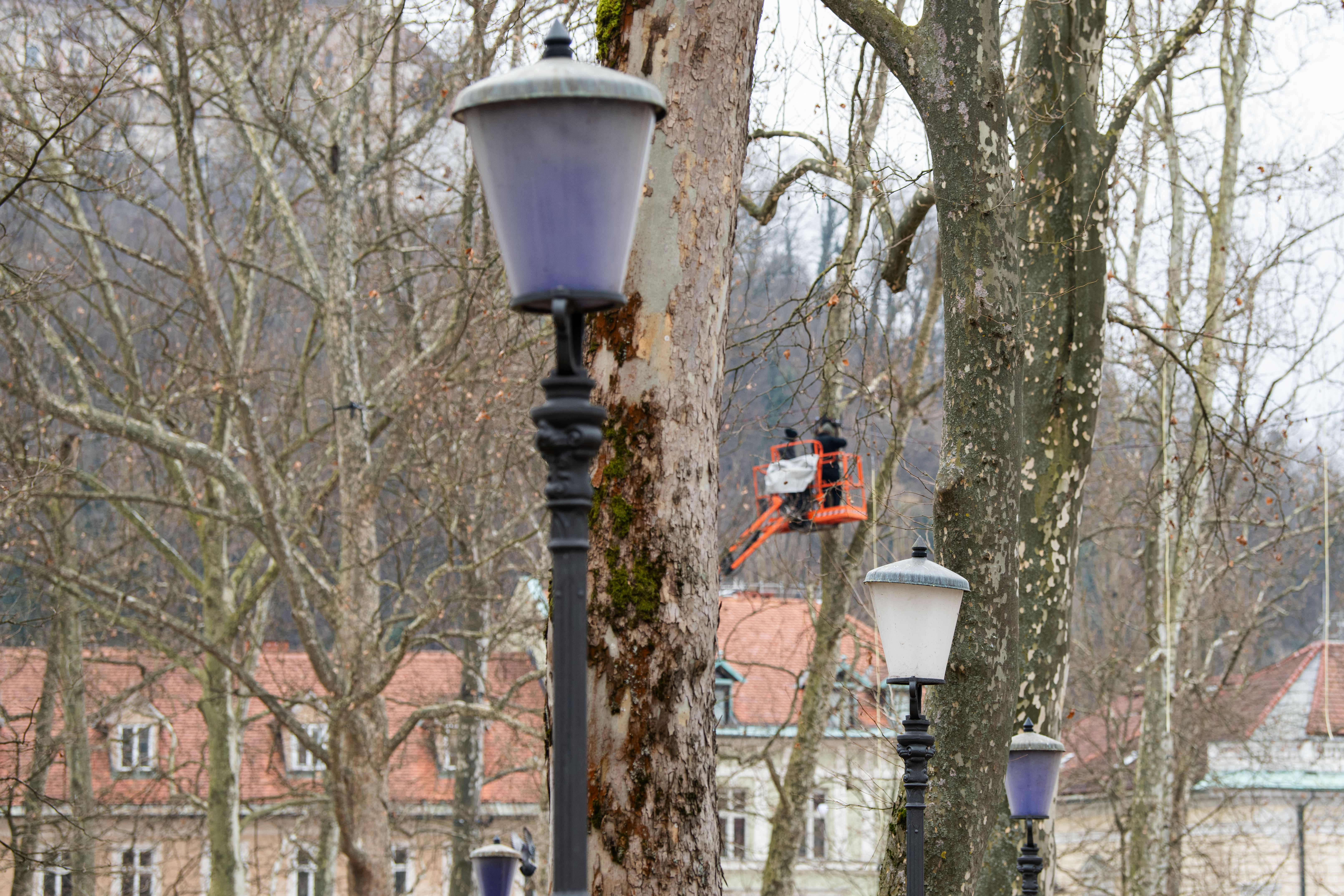 kongresni trg, park zvezda, modre luči, modra luč, ljubljana
