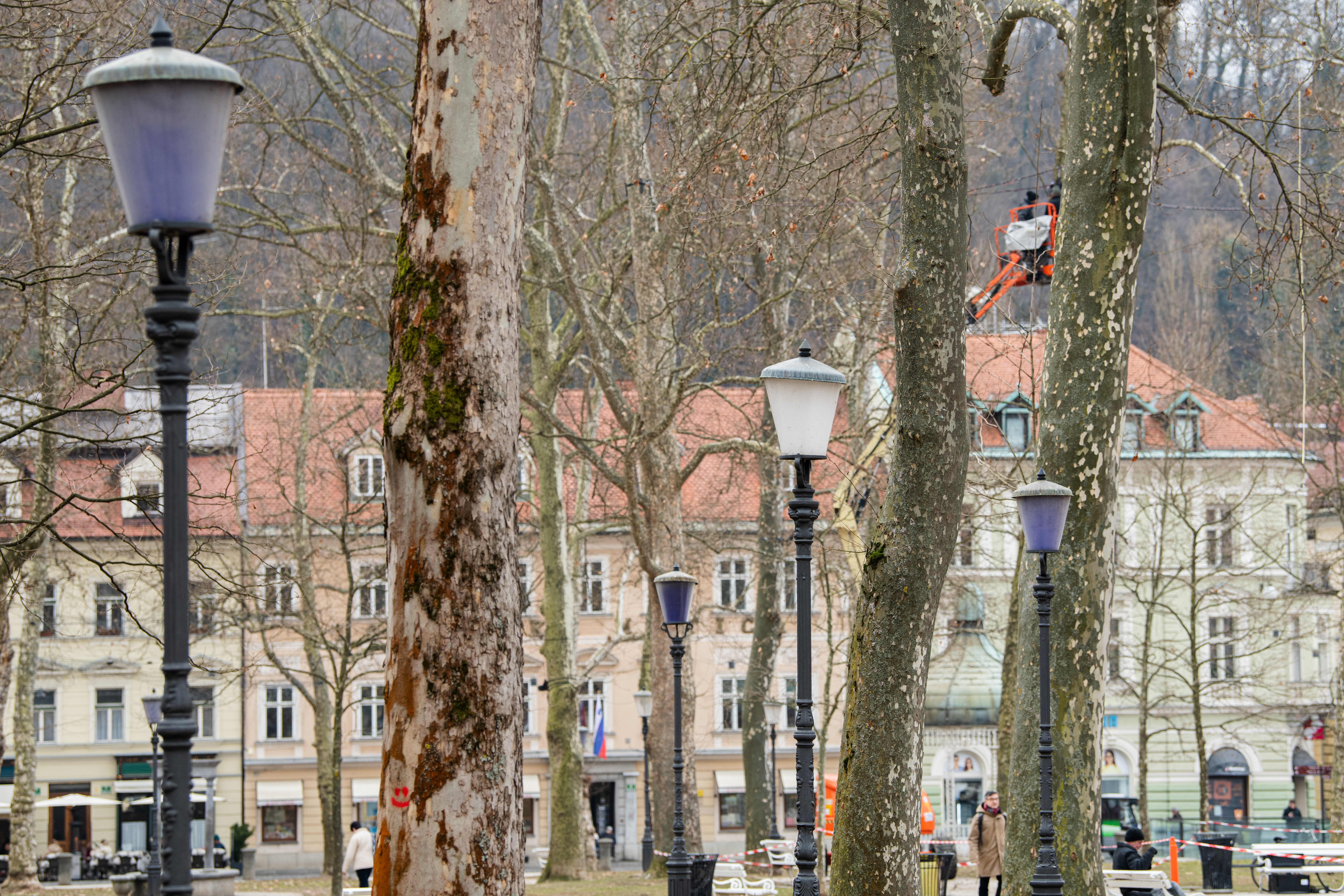 kongresni trg, park zvezda, modre luči, modra luč, ljubljana