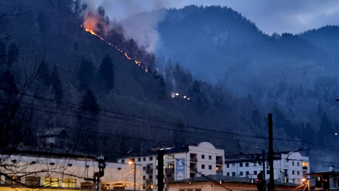 Foto: Dušan Pavlovič