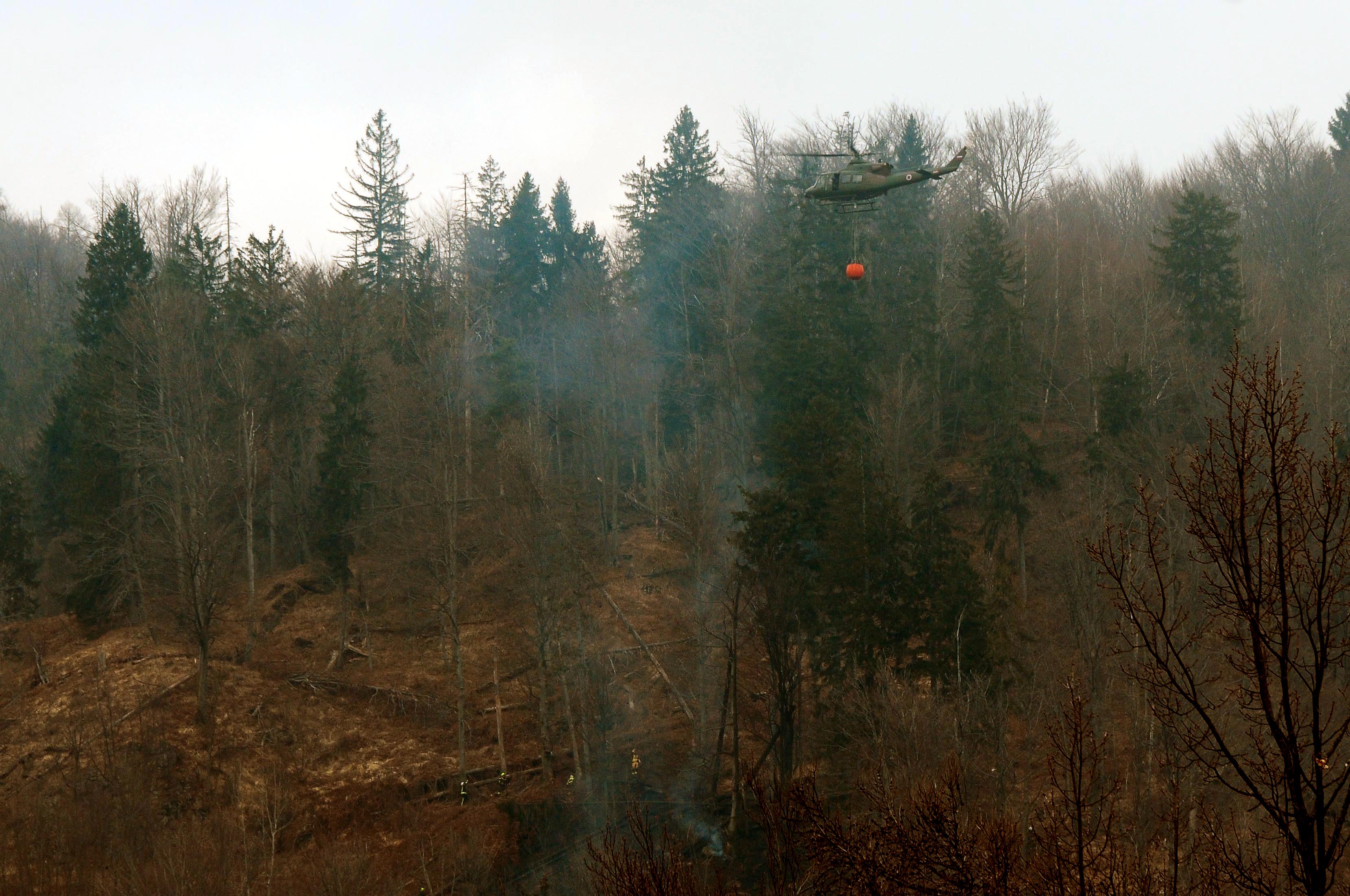 Foto: Nik Bertoncelj/BOBO