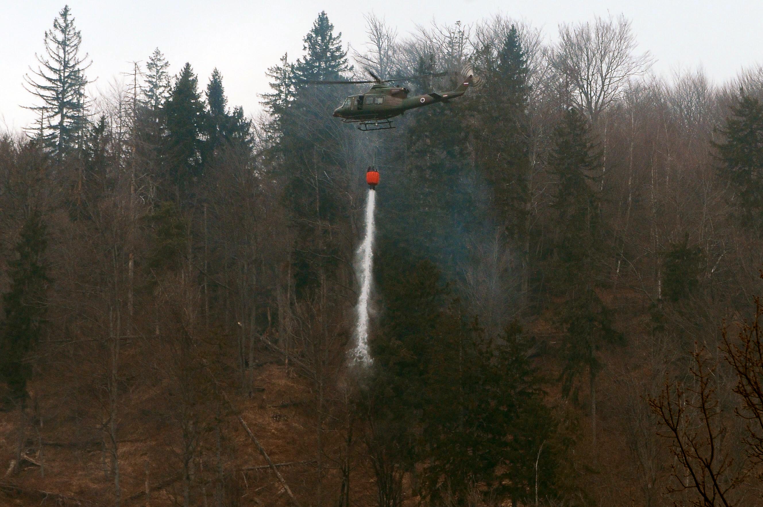 Gozdni požar na Jesenicah