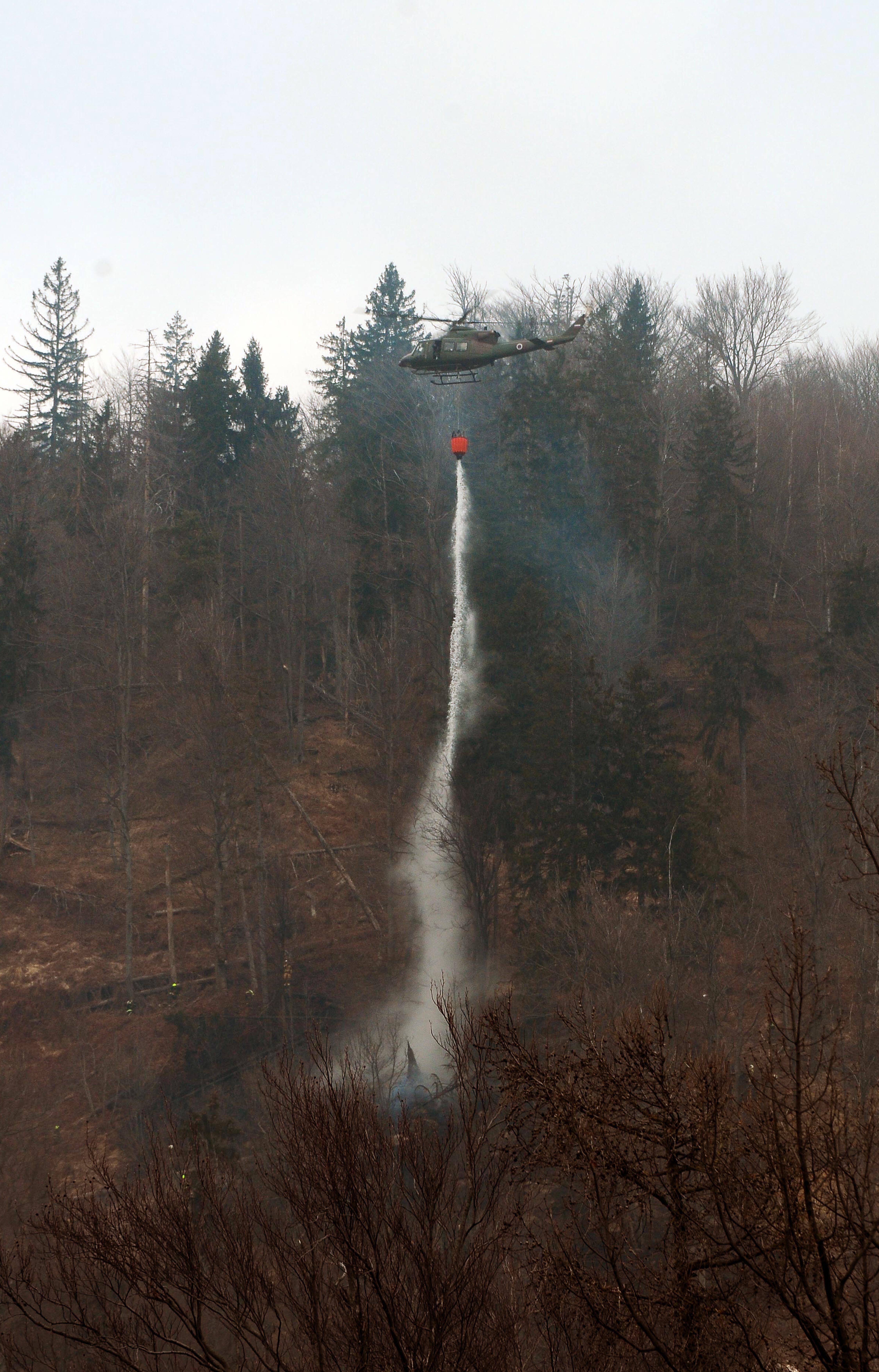 Gozdni požar na Jesenicah