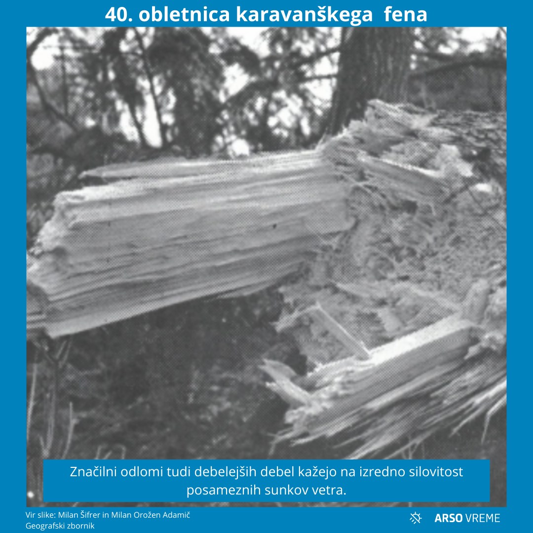 karavanški fen leta 1984