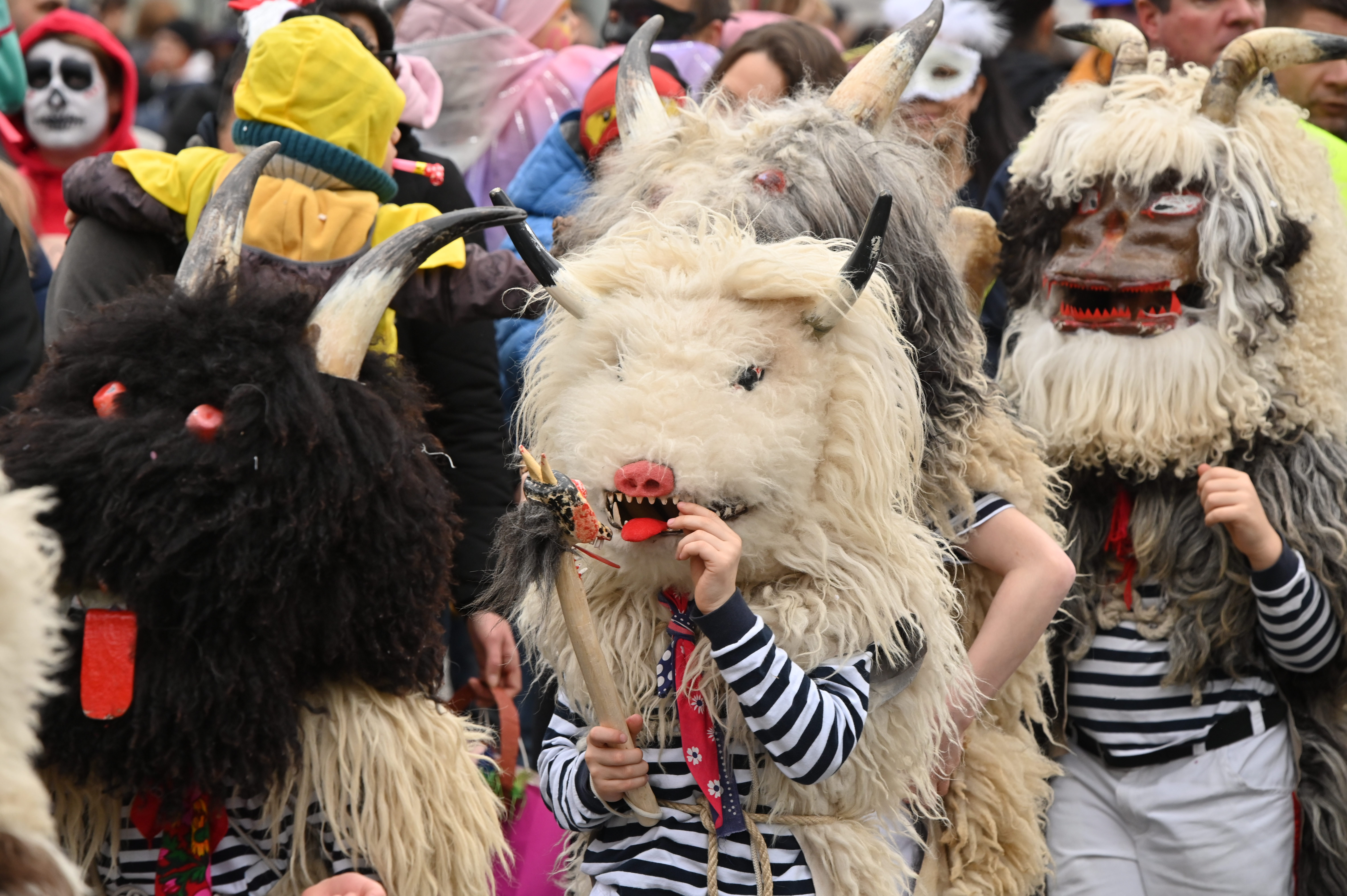 Foto: Žiga Živulović jr. /BOBO