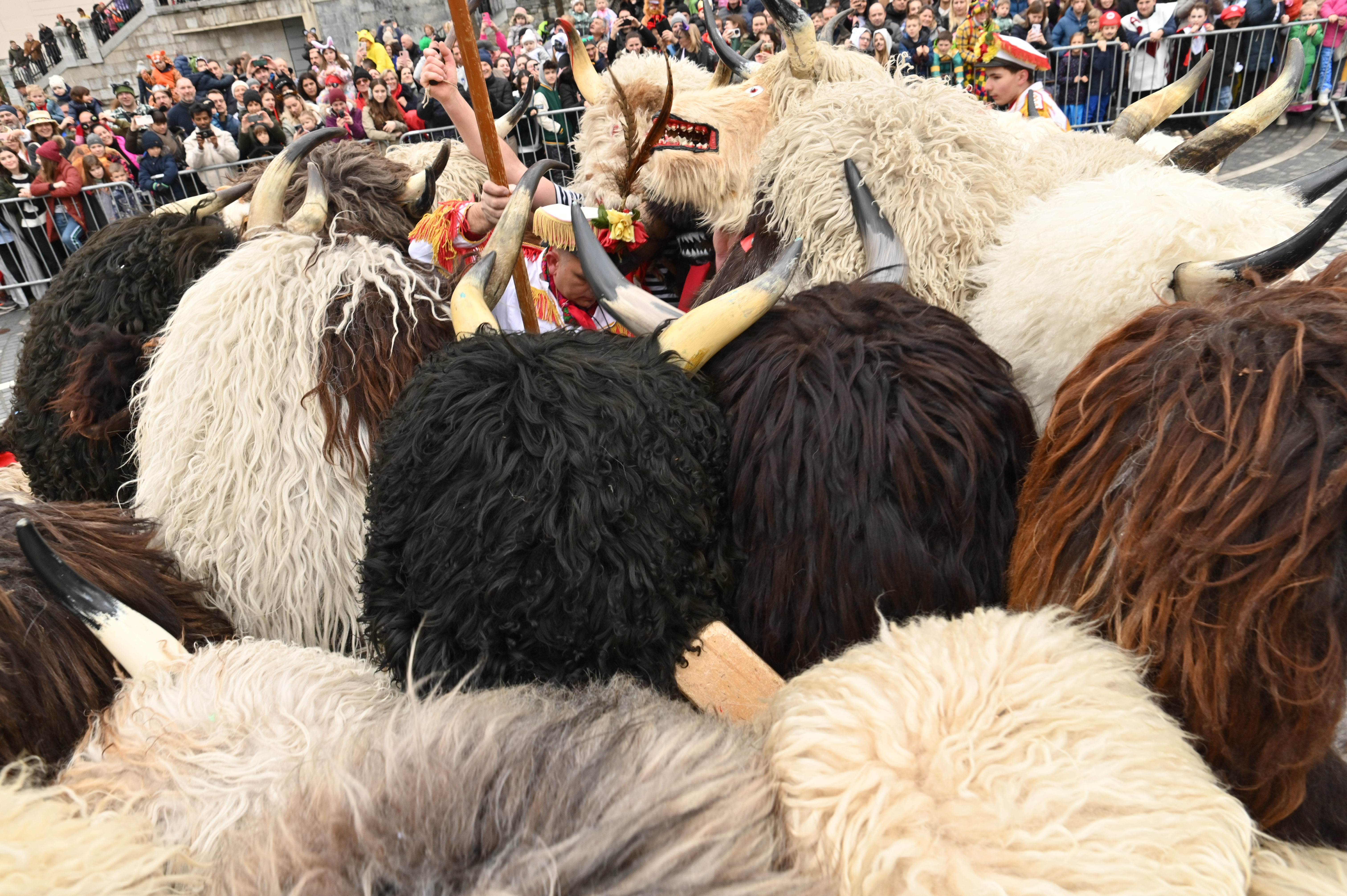 Foto: Žiga Živulović jr. /BOBO