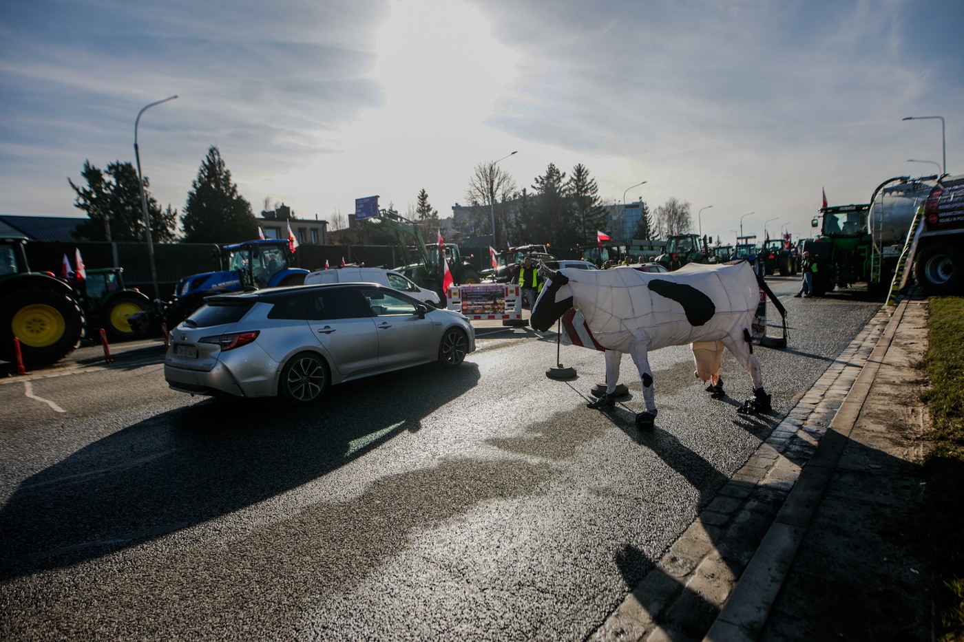 Poljska, kmetje, protest poljskih kmetov