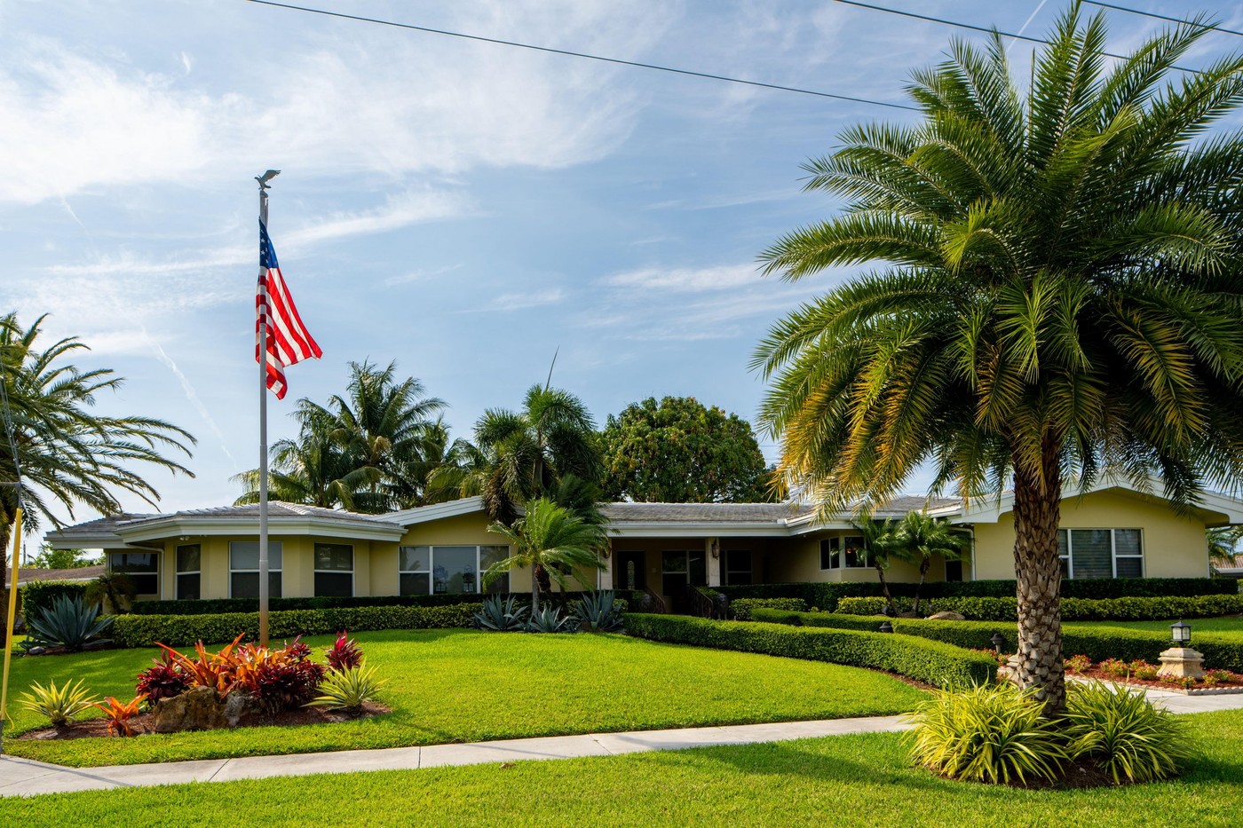 zelenica, ZDA, hiša, zastava, ameriška, predmestje