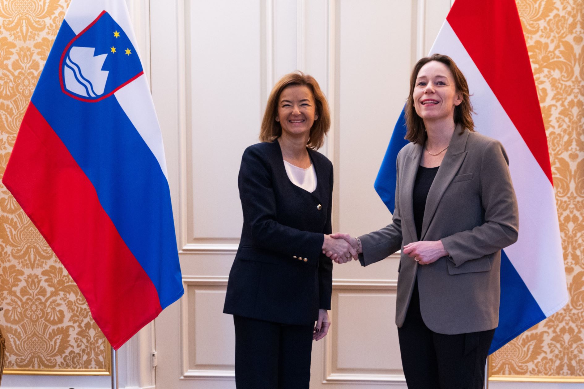 Tanja Fajon, Nizozemska, Hanke Bruins Slot