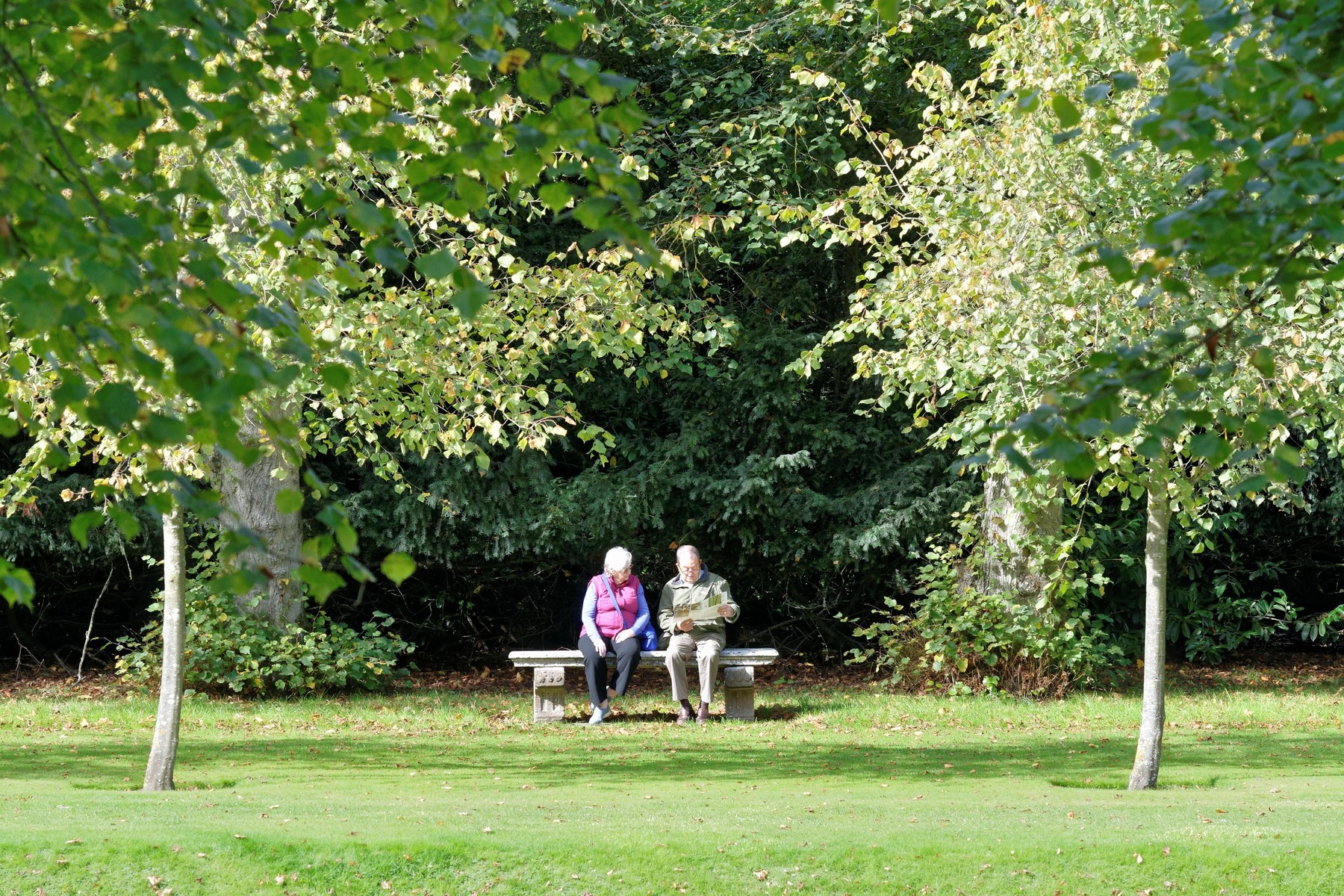 upokojenec, upokojenci, narava, klop