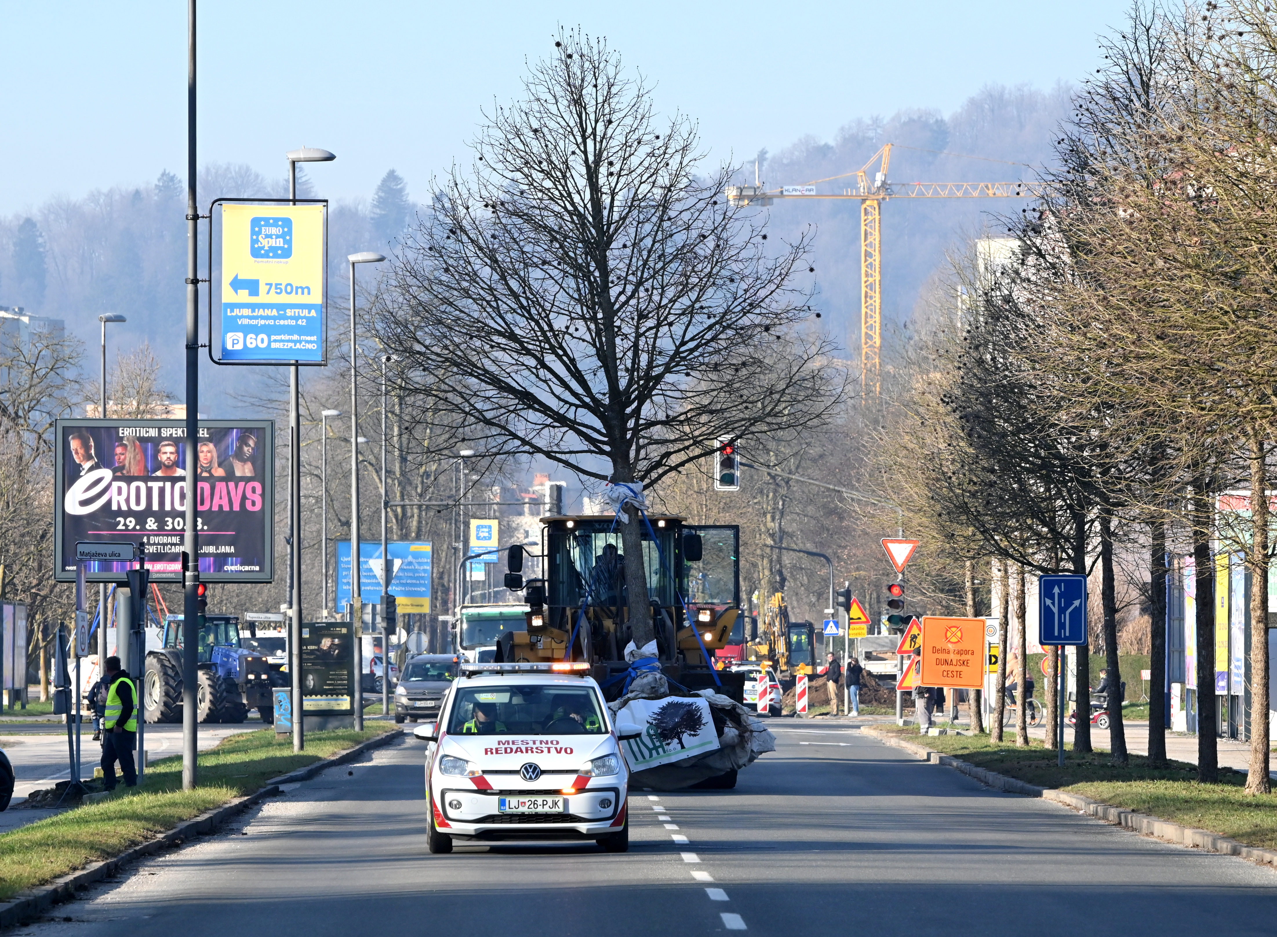 LJUBLJANA, DREVESA, SELITEV