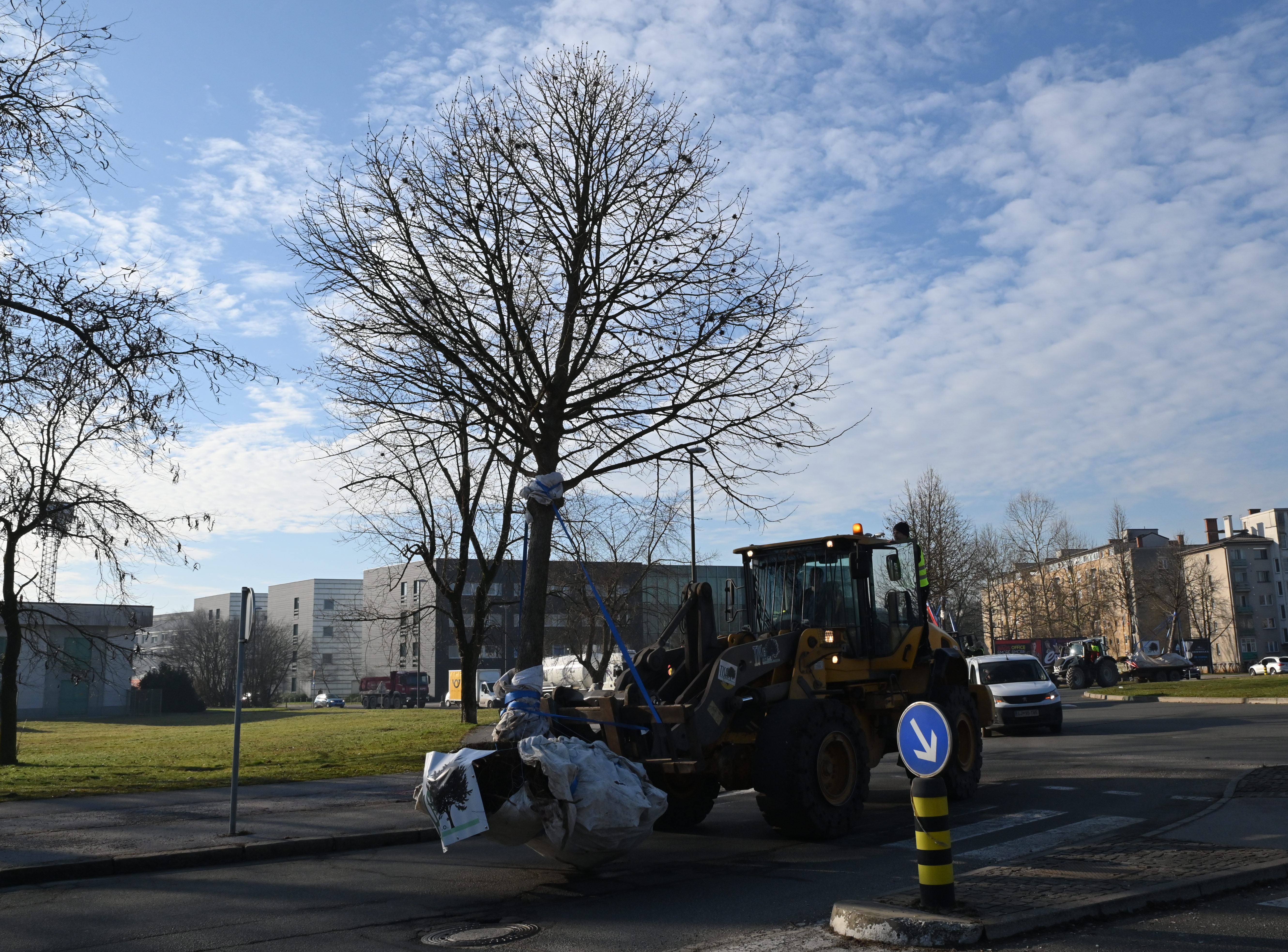 Selitev dreves v Ljubljani (Foto: Žiga Živulović jr. /BOBO