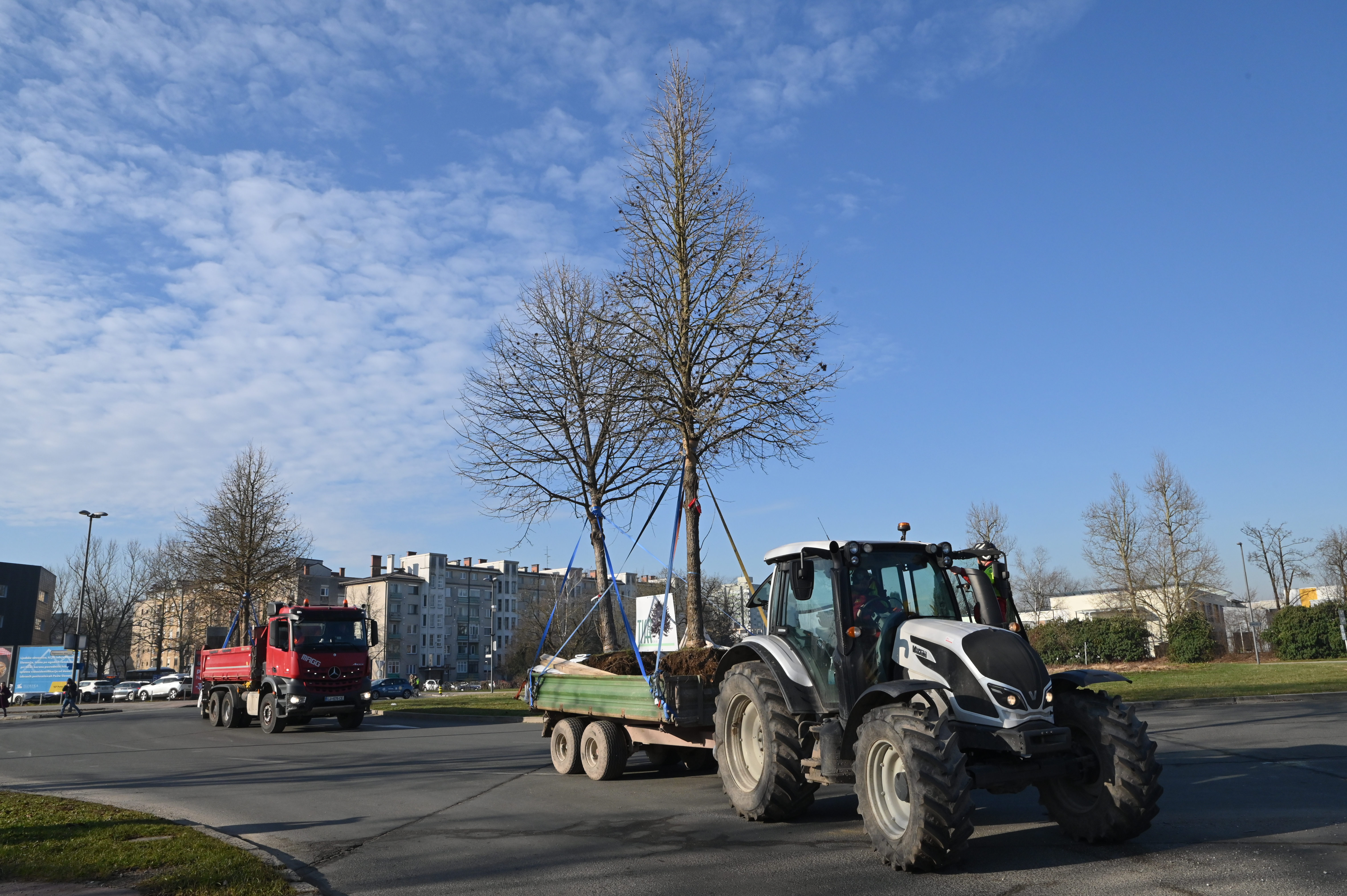 Selitev dreves v Ljubljani (Foto: Žiga Živulović jr. /BOBO