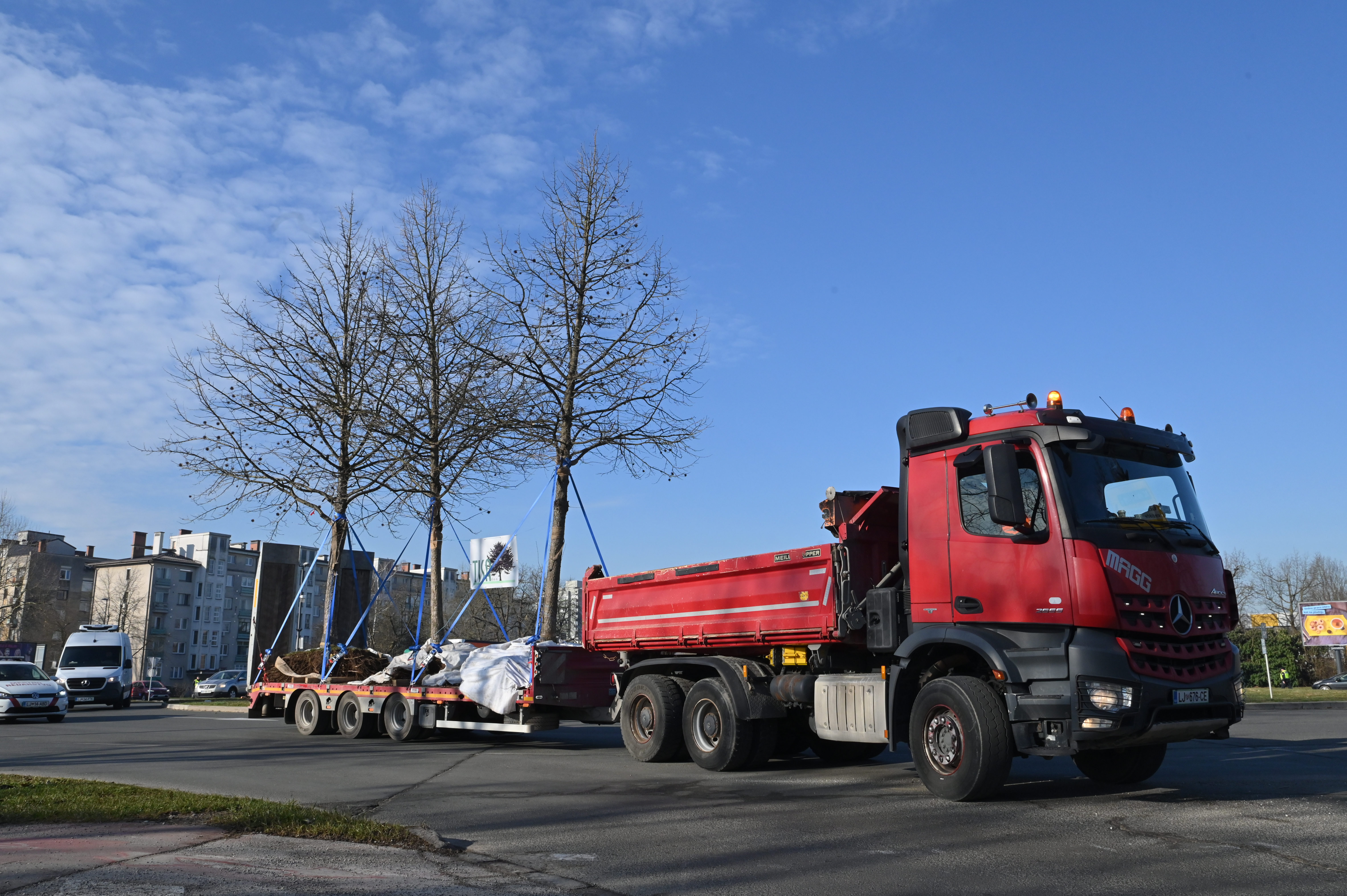 Selitev dreves v Ljubljani (Foto: Žiga Živulović jr. /BOBO