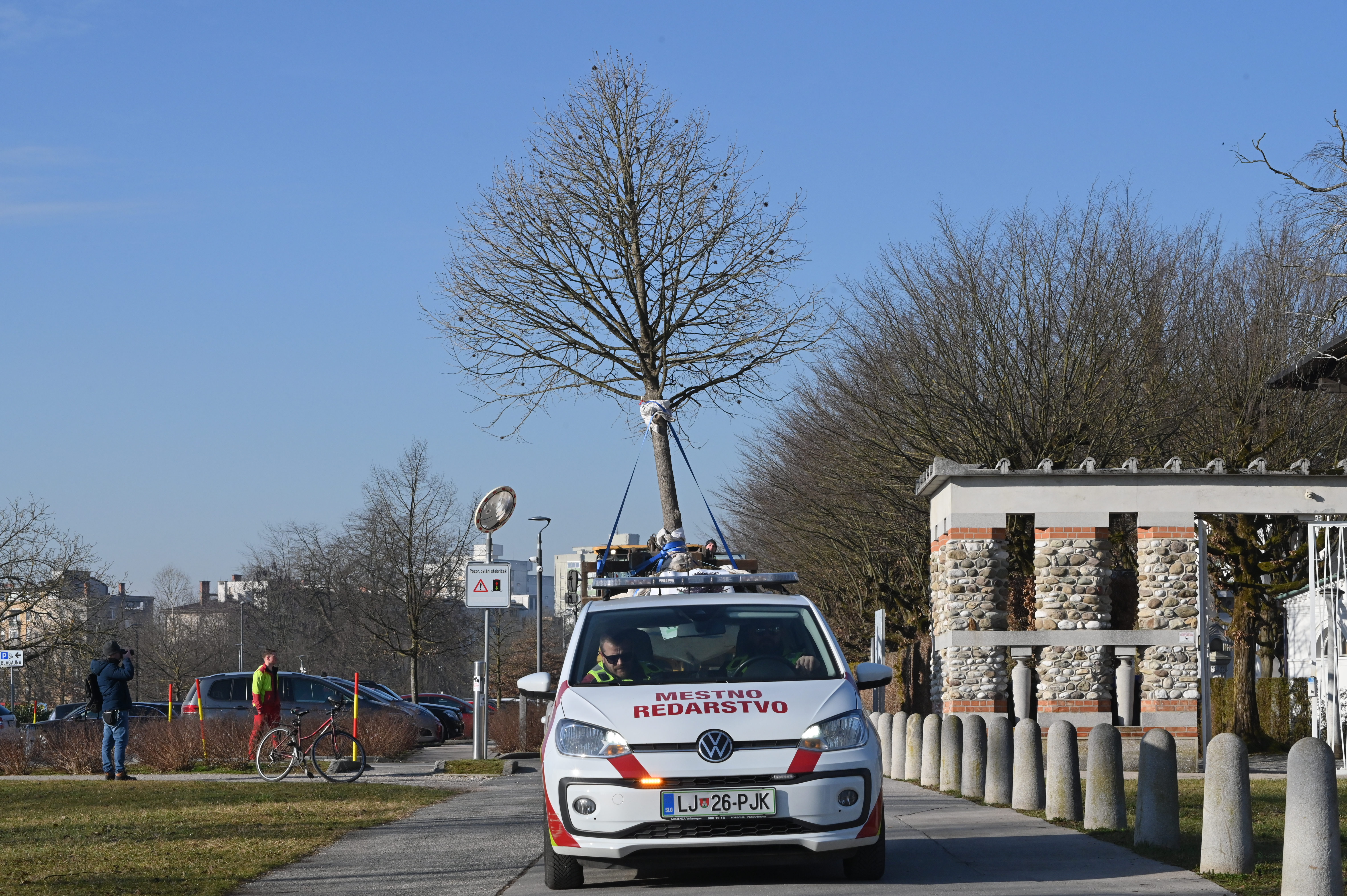 Selitev dreves v Ljubljani (Foto: Žiga Živulović jr. /BOBO