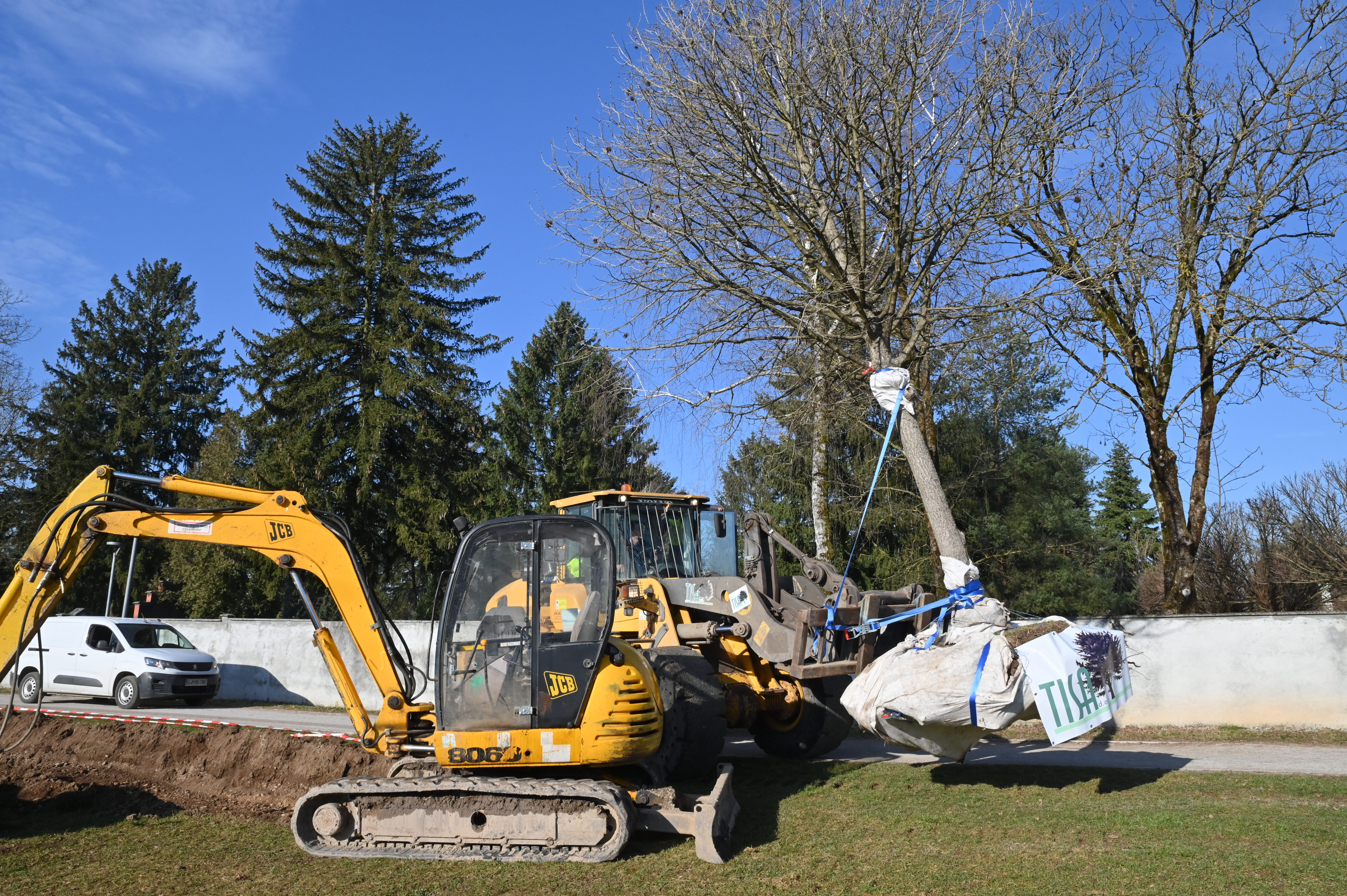 Selitev dreves v Ljubljani (Foto: Žiga Živulović jr. /BOBO