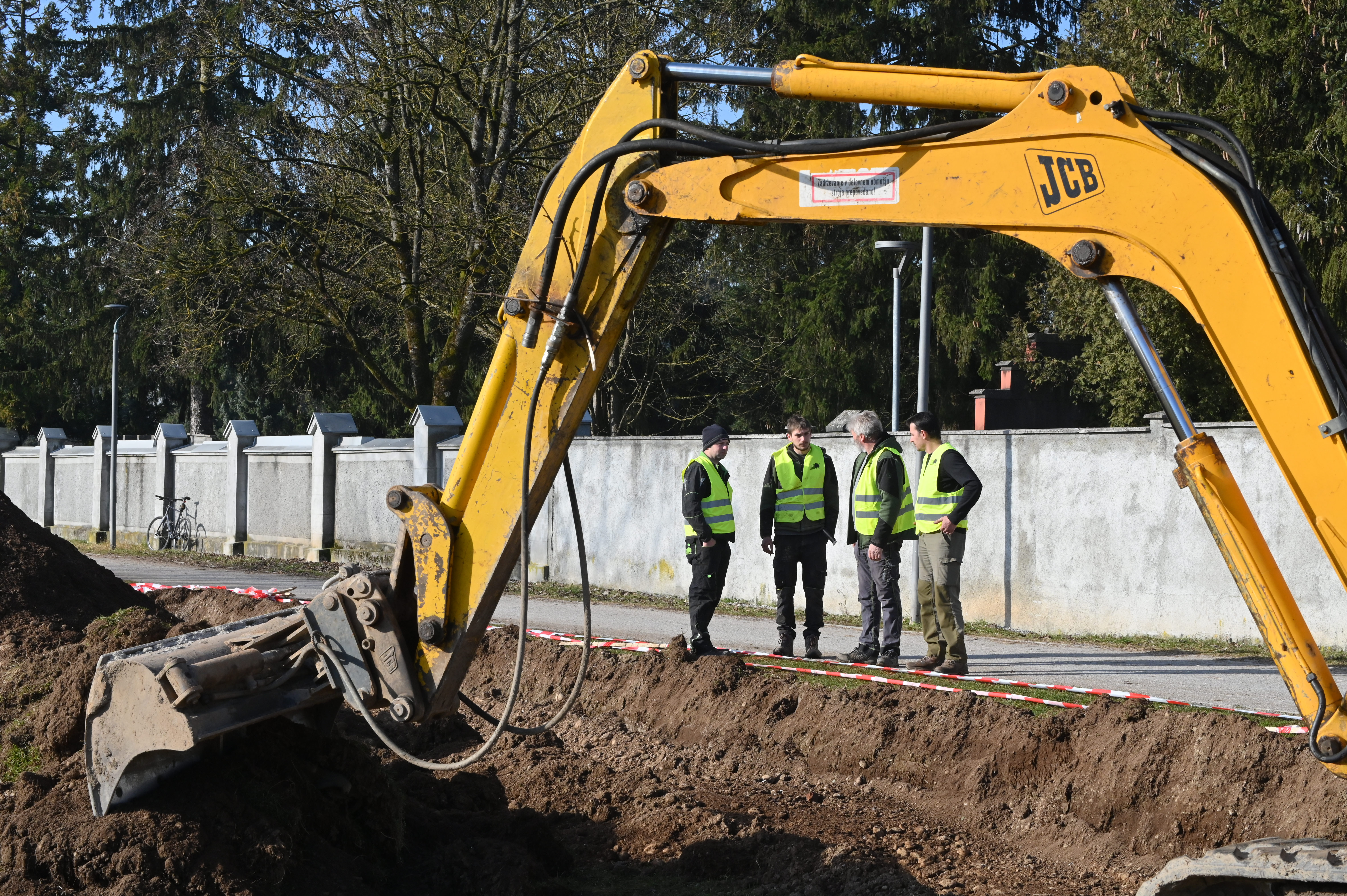 Selitev, drevesa, Ljubljana