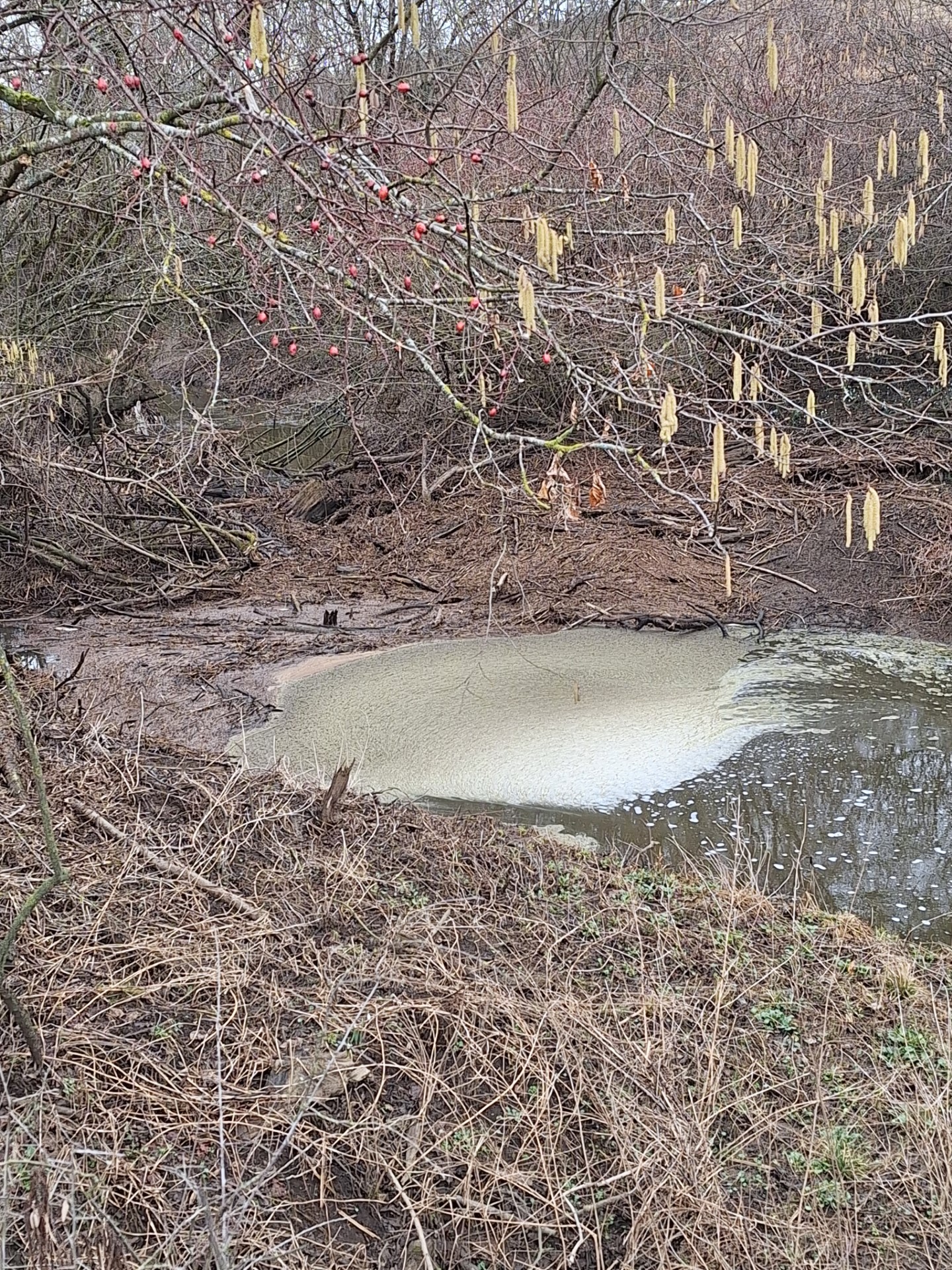 Nesreča na kmetijskem obratu na Studencu pri Postojni (Foto: Martin Miklavec, predsednik RD Postojna)