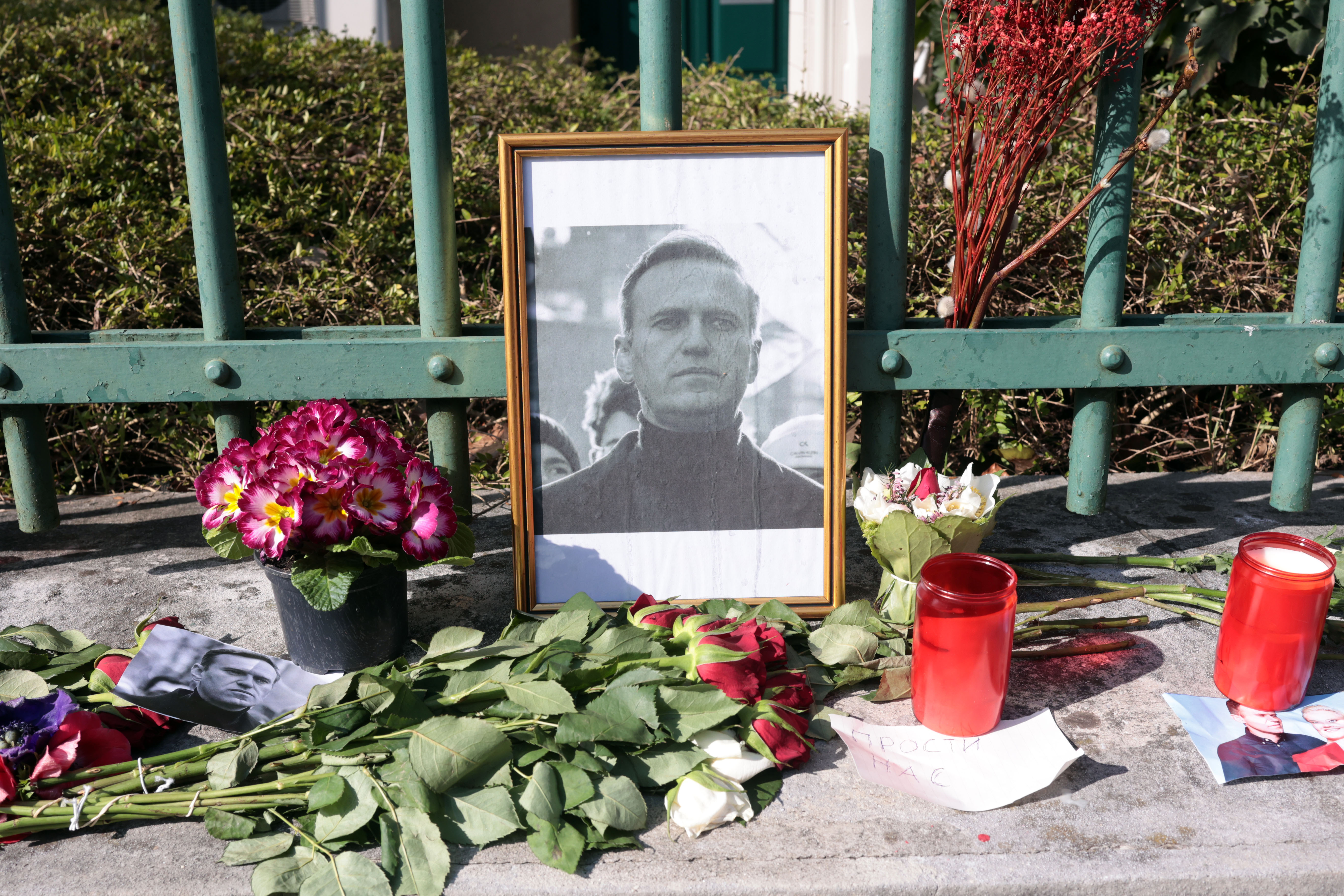 nemško veleposlaništvo, aleksej navalni, ljubljana