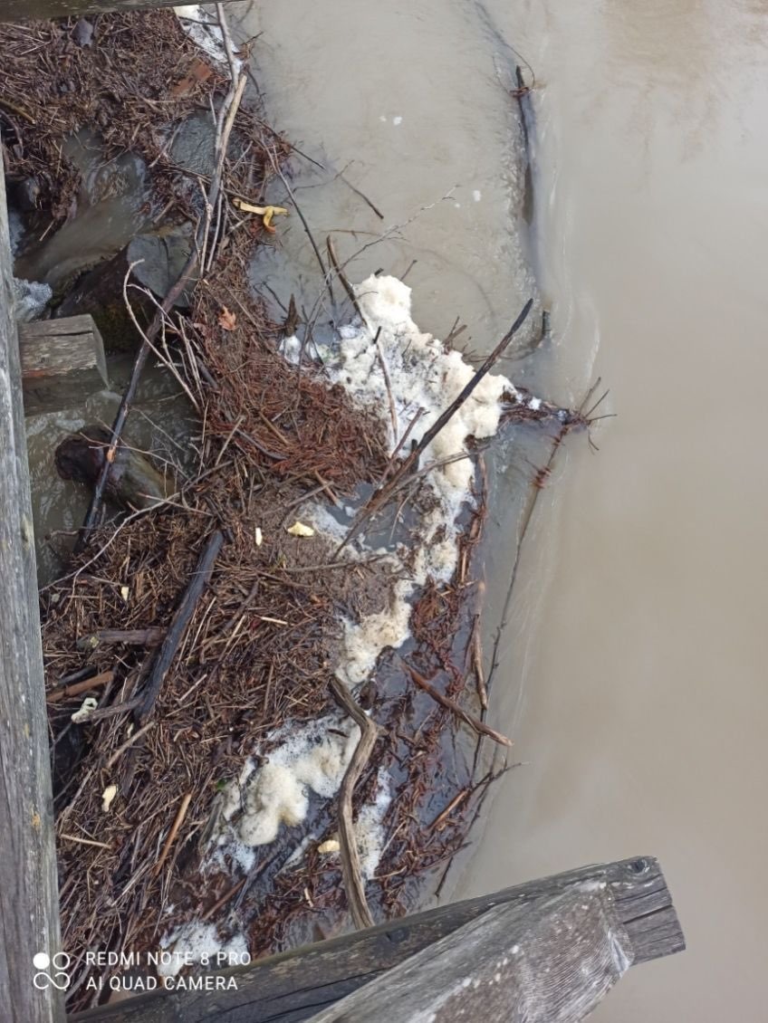 postojnska jama, onesnaženje, gnojevka