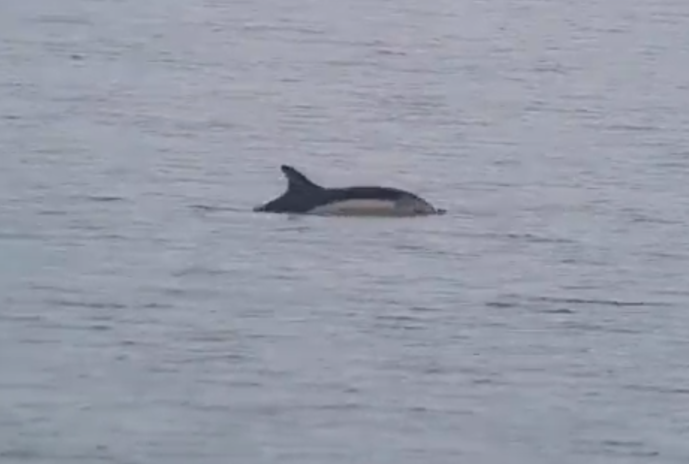 Foto: @nickrobertlay via X/zajem zaslona
