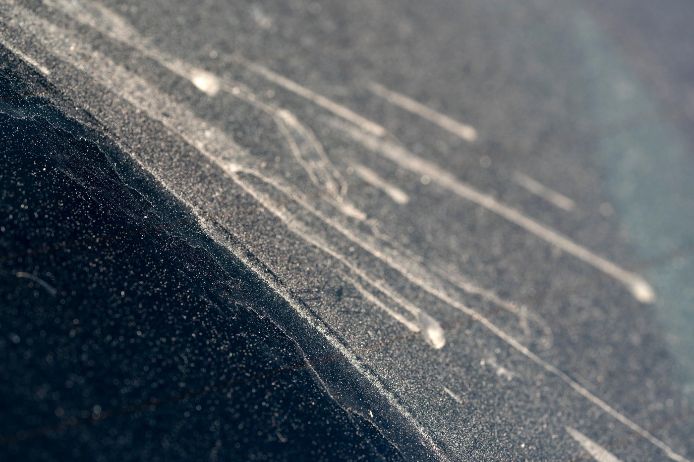 SAHARSKI PRAH, PUŠČAVSKI PRAH, PESEK, VREME