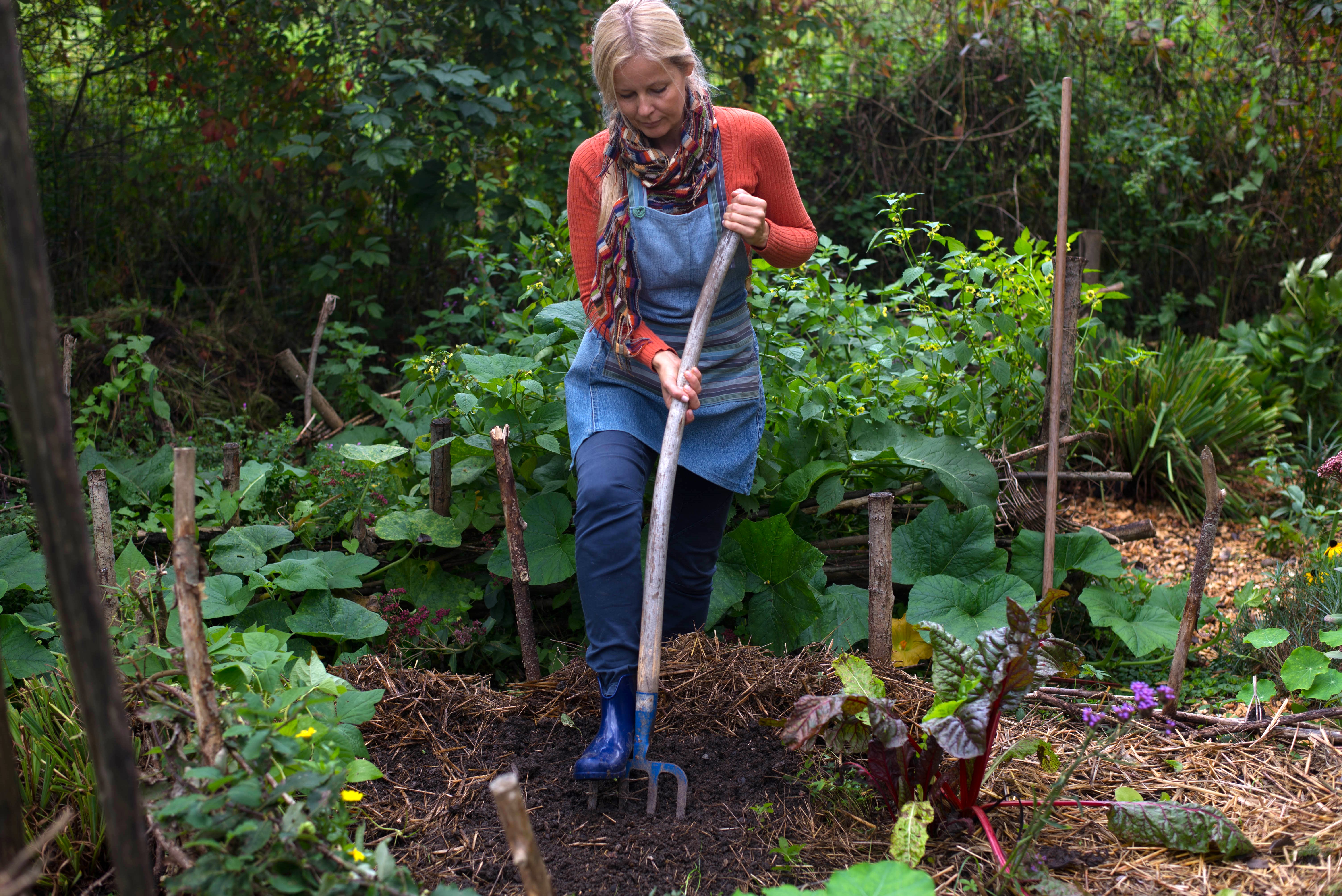 vrt, vrtnarjenje, štihanje, Jerneja Jošar