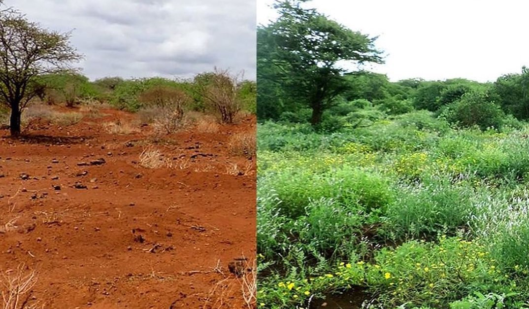 Foto: Zajem zaslona FACEBOOK/Justdiggit