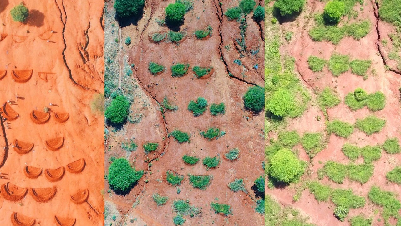 Foto: Zajem zaslona FACEBOOK/Justdiggit