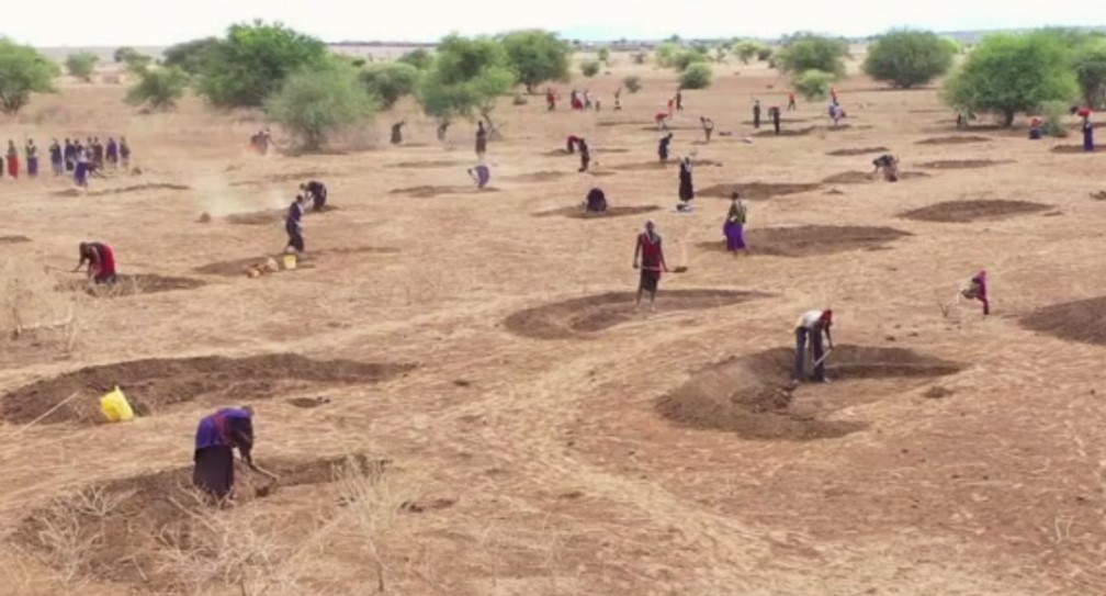 Arusha, Tanzanija, ozelenjevanje, puščava