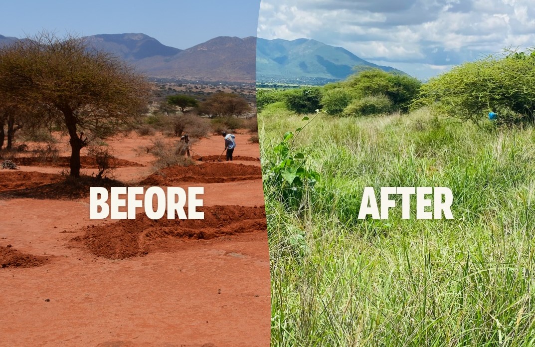 Arusha, Tanzanija, ozelenjevanje, puščava