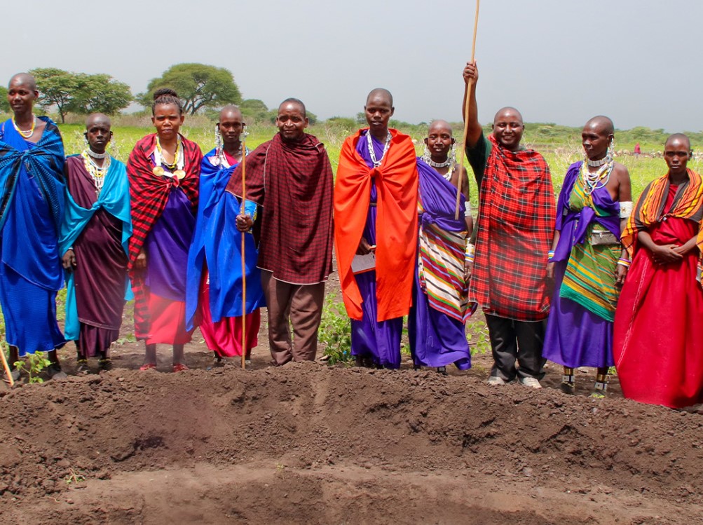 Arusha, Tanzanija, ozelenjevanje, puščava
