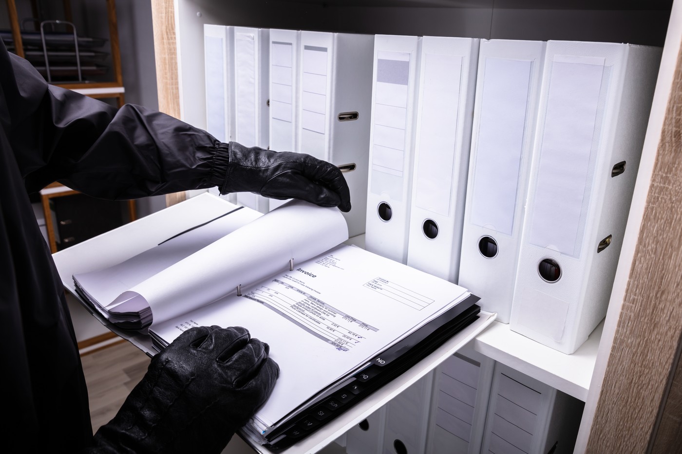 kraja, zasebnost, dokumenti