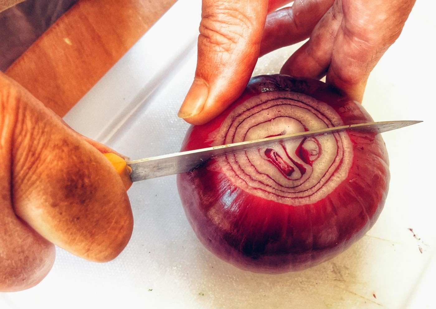 rezanje čebule, čebula