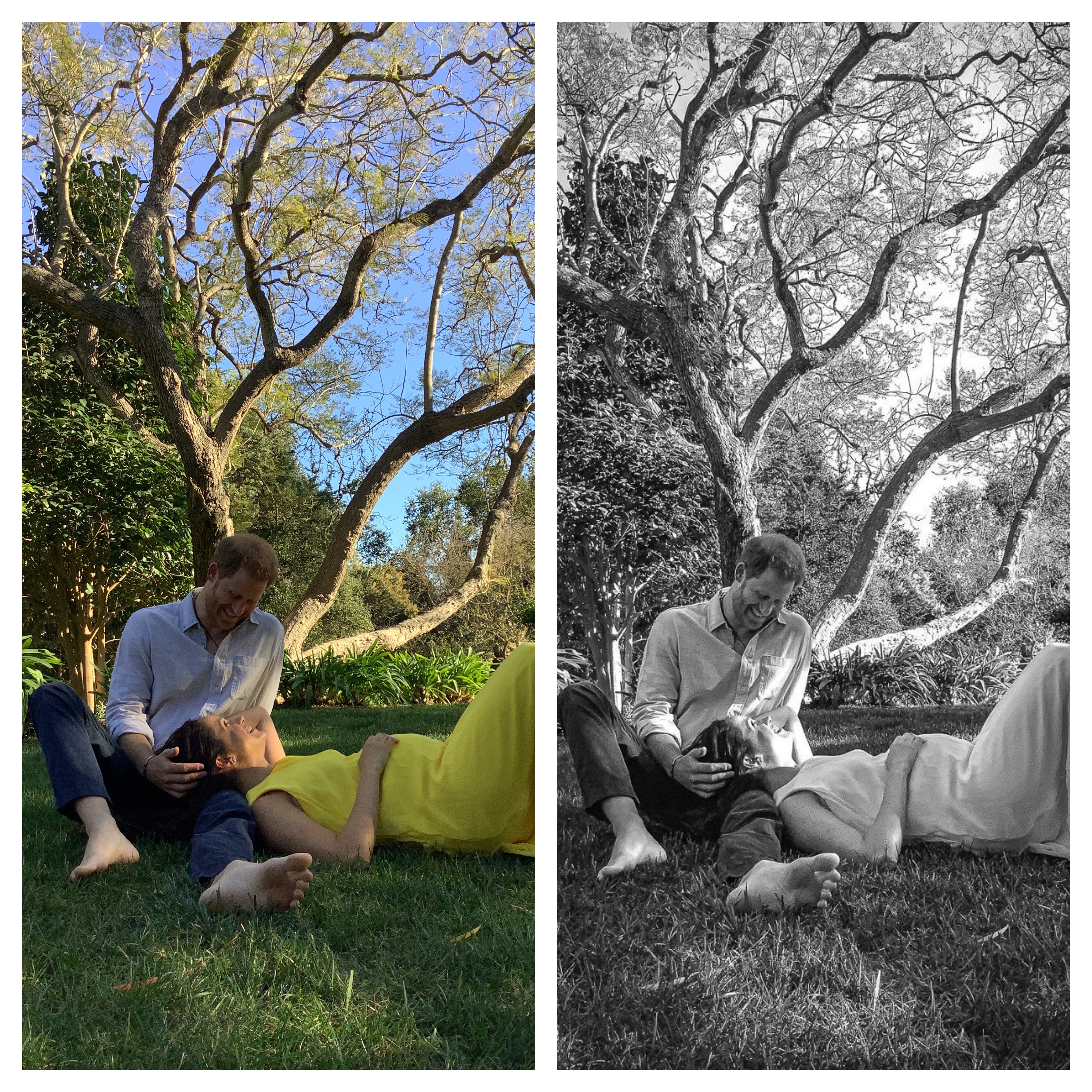 meghan markle, princ harry, portret 2021