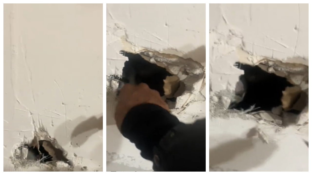 maček, prenova stanovanja