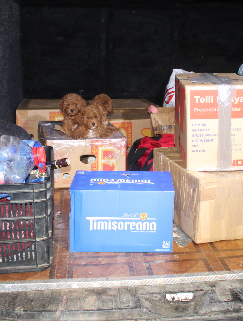 Foto: Policijska uprava Novo mesto