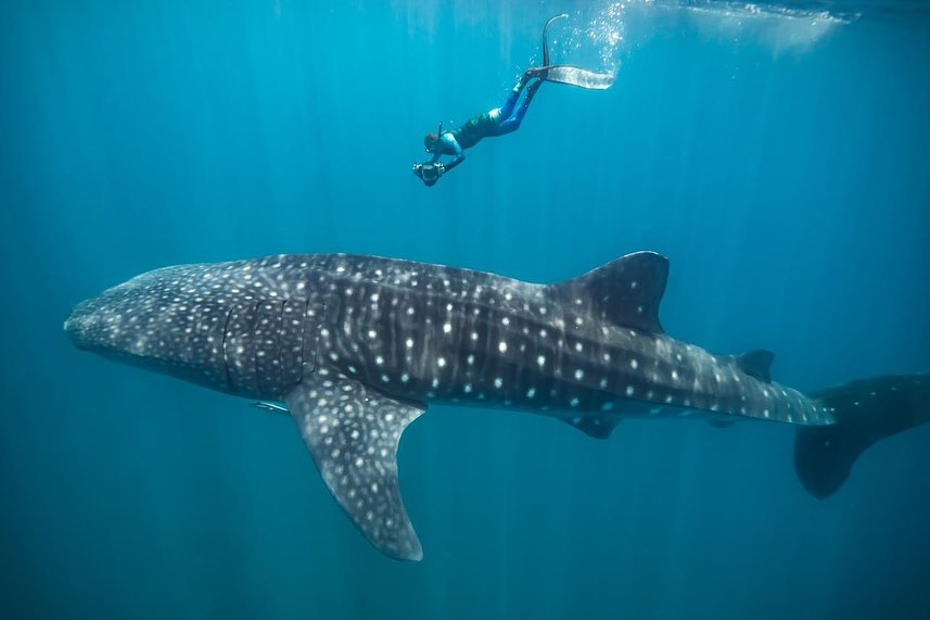 Foto: @thandaisland/INSTAGRAM