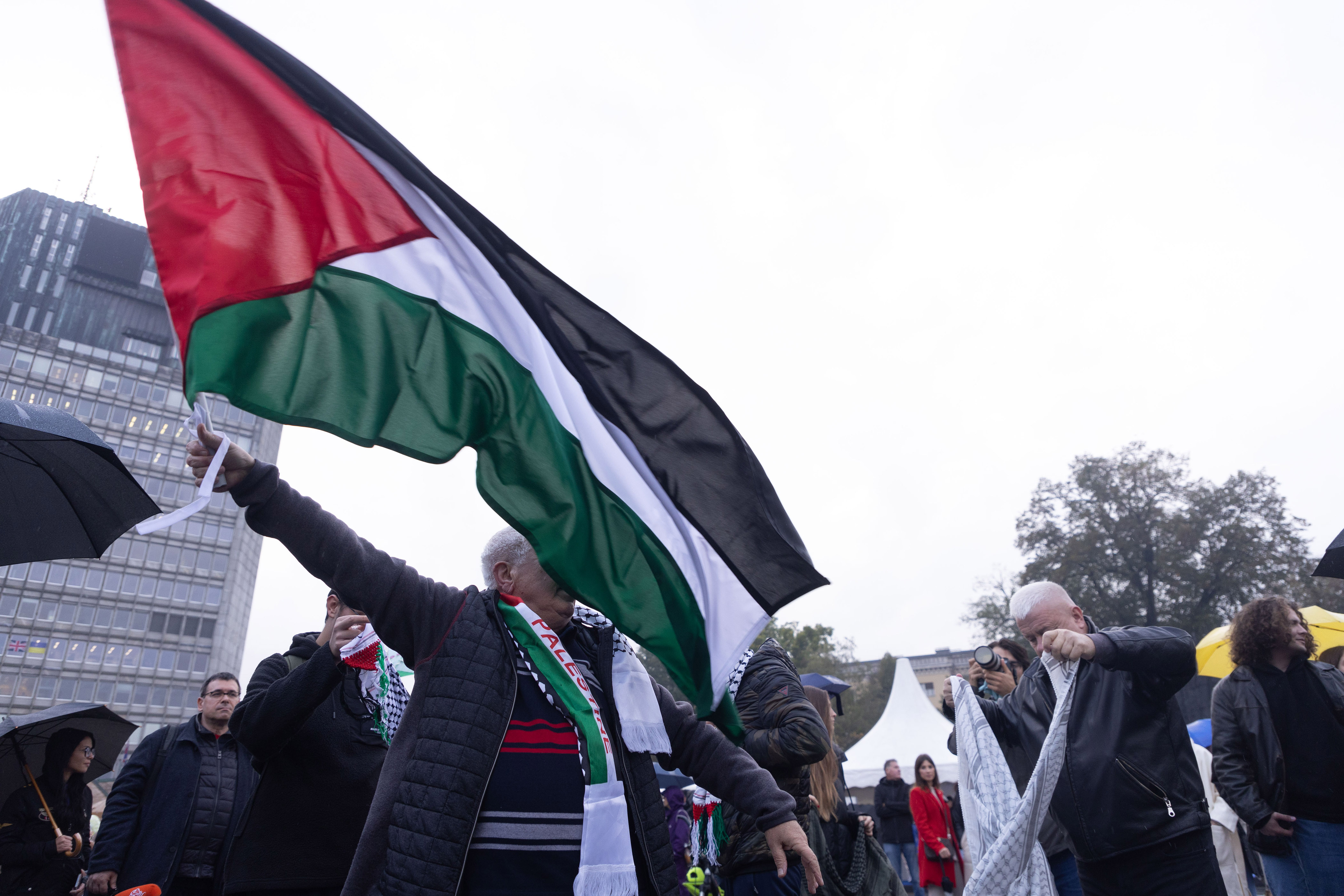 Shod za Palestino, palestinska zastava