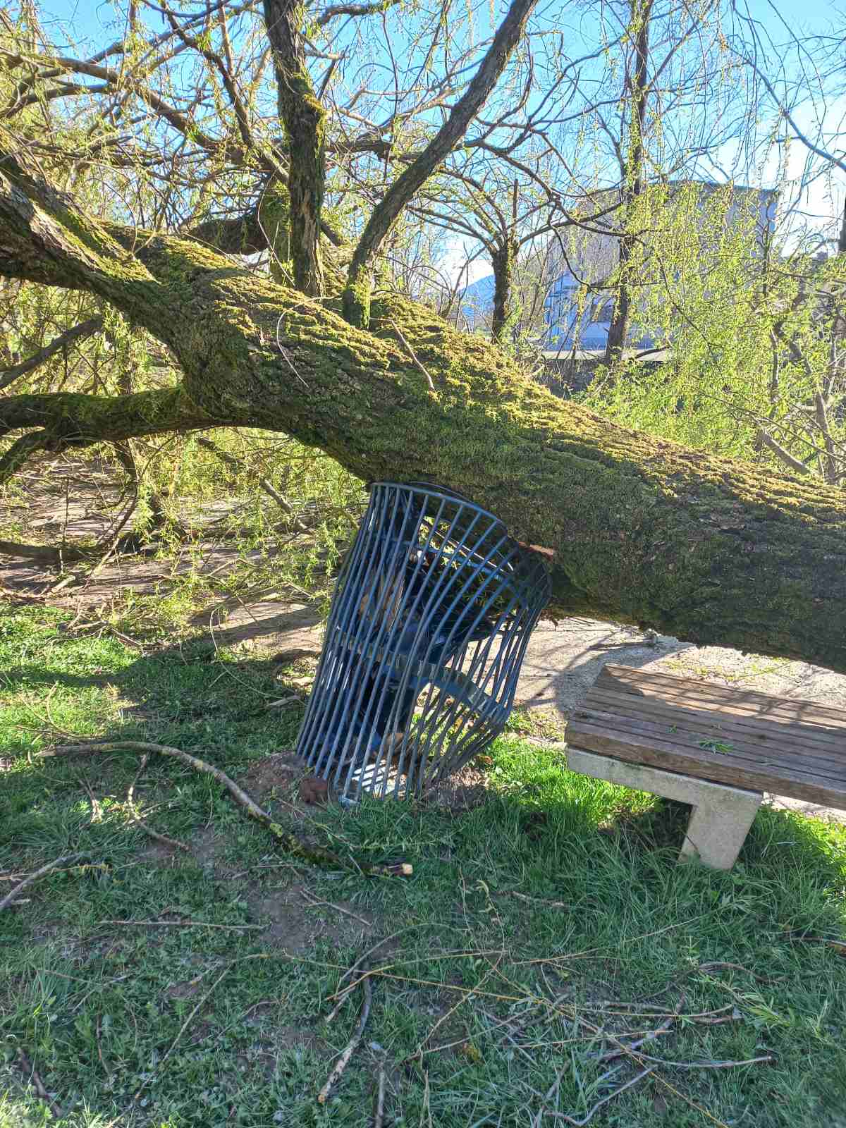 IMG-b8d173bb3af022df1e77184951c12693-V