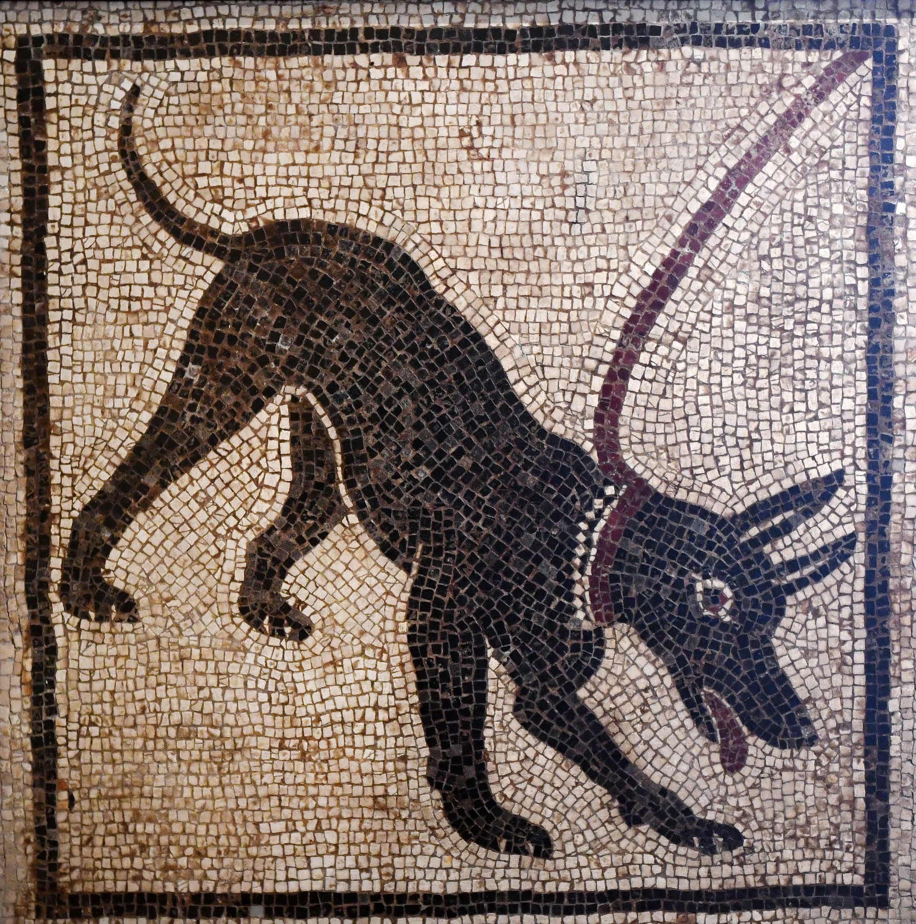 mozaik, pes, rim