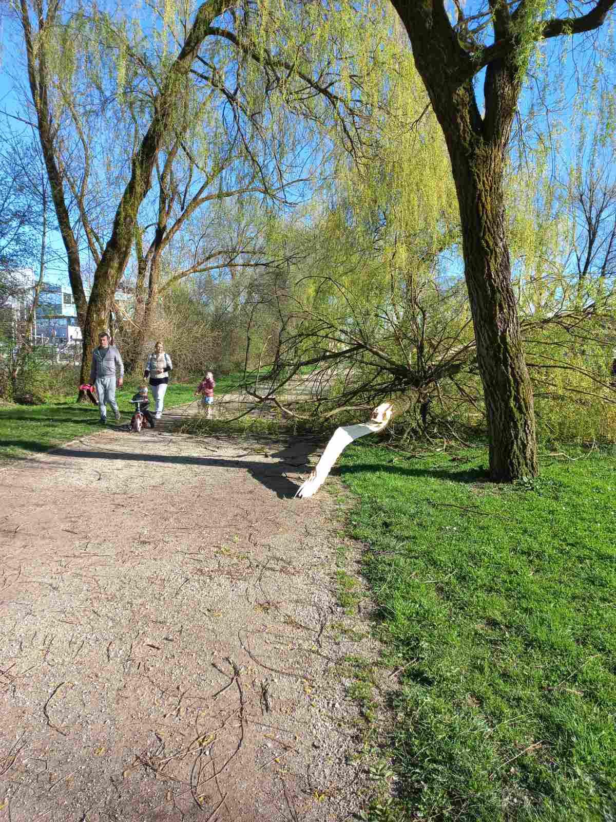 IMG-087945b8c453c654e2f9e5f1a3e7f319-V (1)