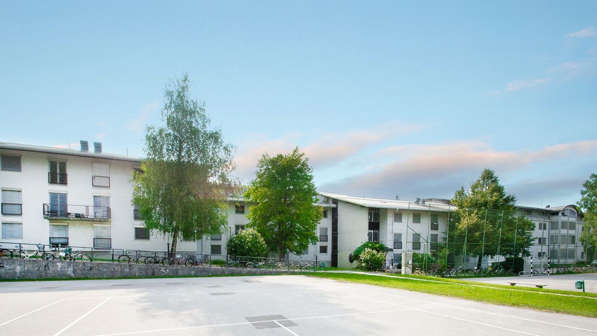 študentksi dom 11, študentski dom